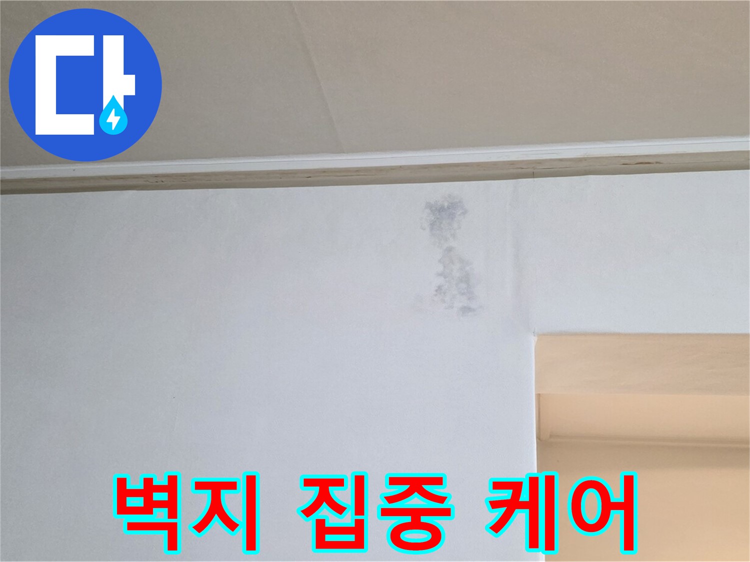 젖은 벽지 집중 케어 - 맞춤 솔루션 제공
