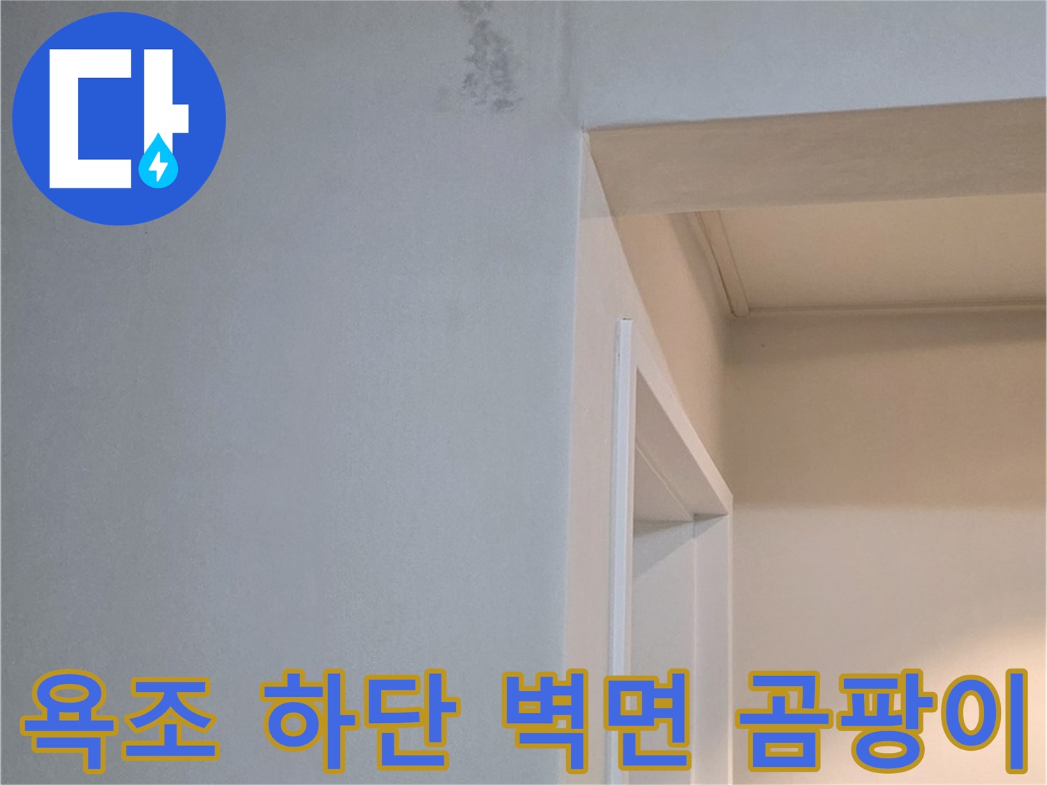 포천 일동 기산리 아파트 욕조 하단 벽면 곰팡이 - 건강 위협 및 뿌리 뽑는 제거