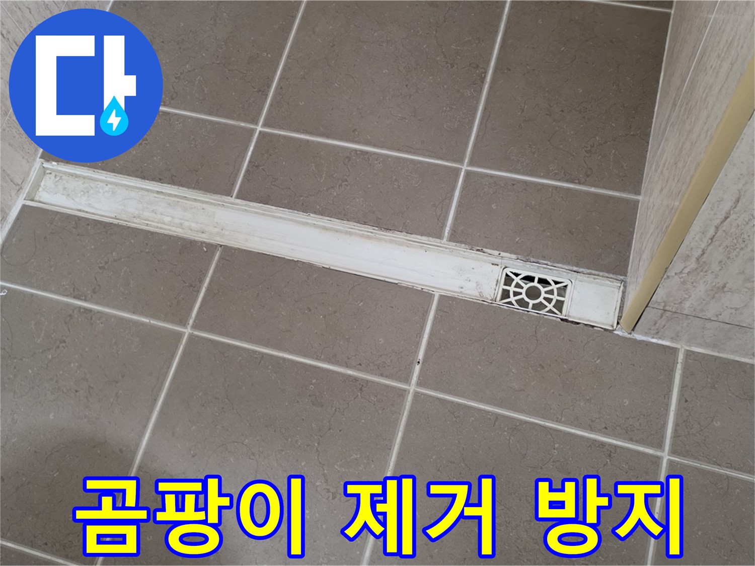 포천 일동 기산리 욕실 - 트렌치 배수구 주변 곰팡이 완벽 제거 및 방지