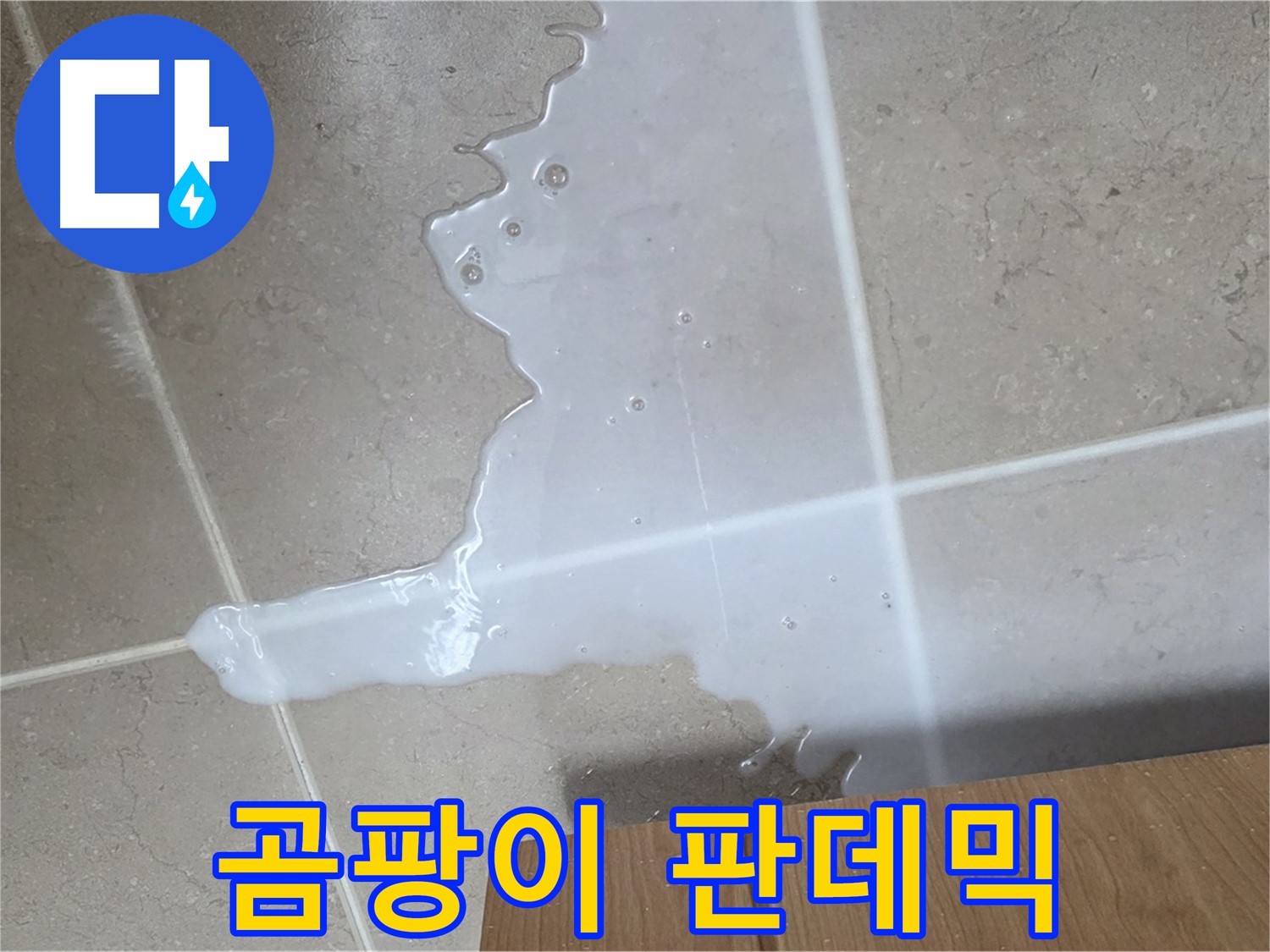 포천 일동 기산베스트빌 아파트 - 씽크대 누수로 인해 곰팡이가 무성하게 자라나는 모습 - 곰팡이 판데믹 선포?!