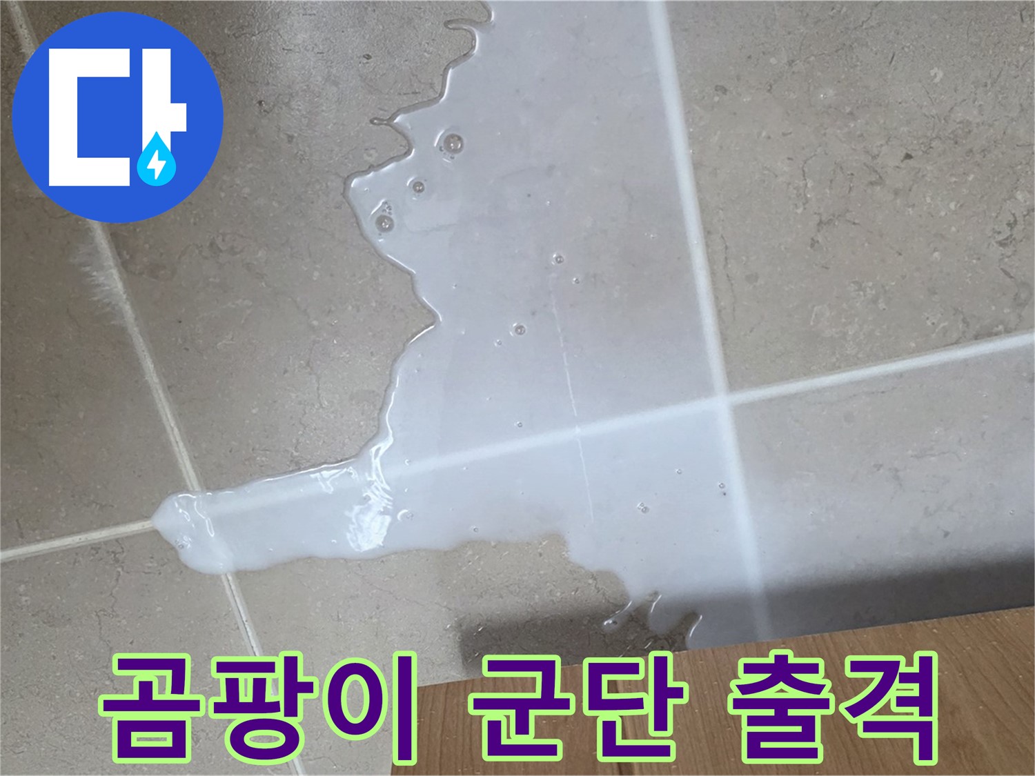 포천 일동 기산베스트빌 아파트 - 씽크대 누수로 인해 곰팡이가 번식하기 시작한 모습 - 곰팡이 군단 출격 준비?!
