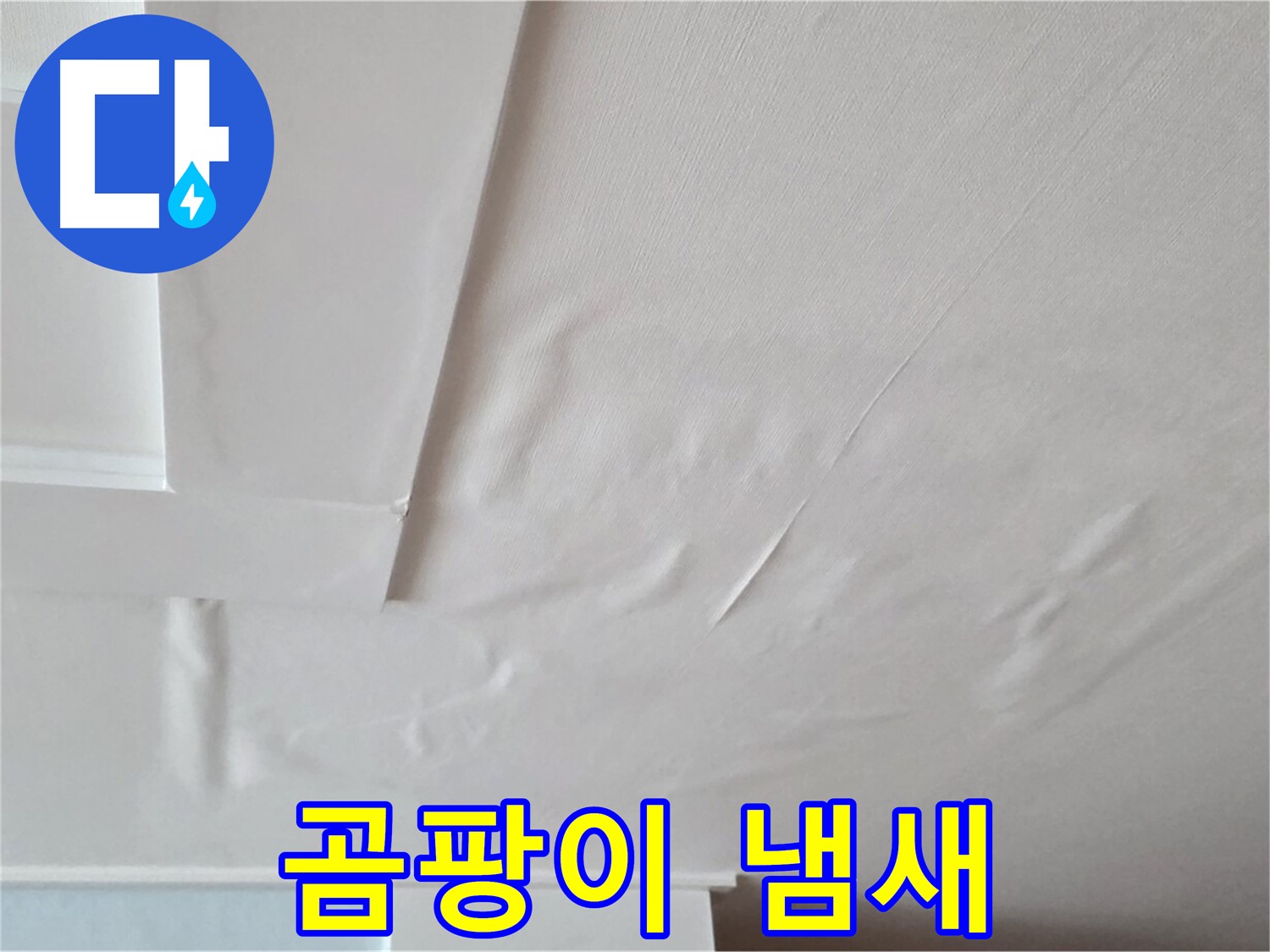포천 일동 아파트 천장 누수 - 곰팡이 냄새 - 우울증 유발 - 정신 건강 악화