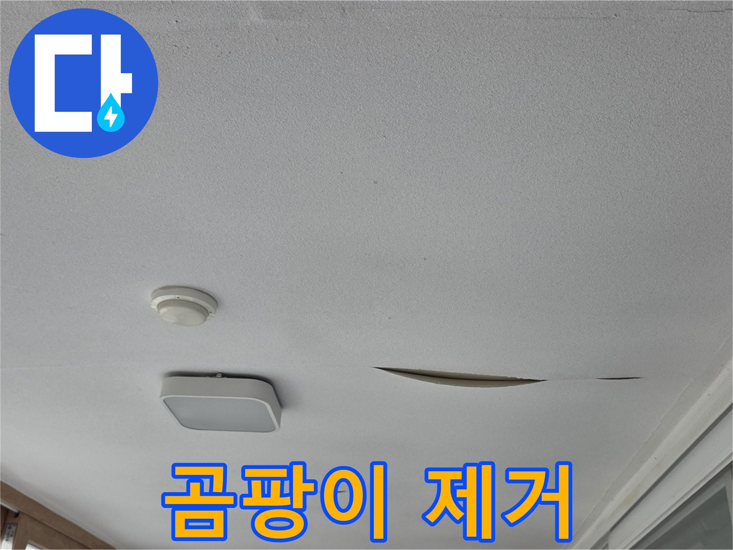 포천 일동 아파트 천장 누수 - 젖은 석고보드 곰팡이 제거 및 방지