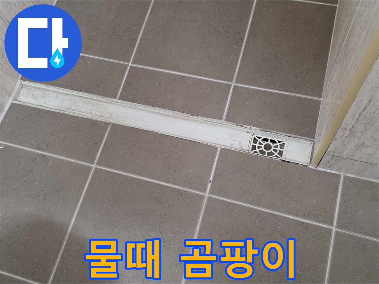 포천 일동면 기산리 욕실 - 트렌치 덮개 주변 물때 및 곰팡이