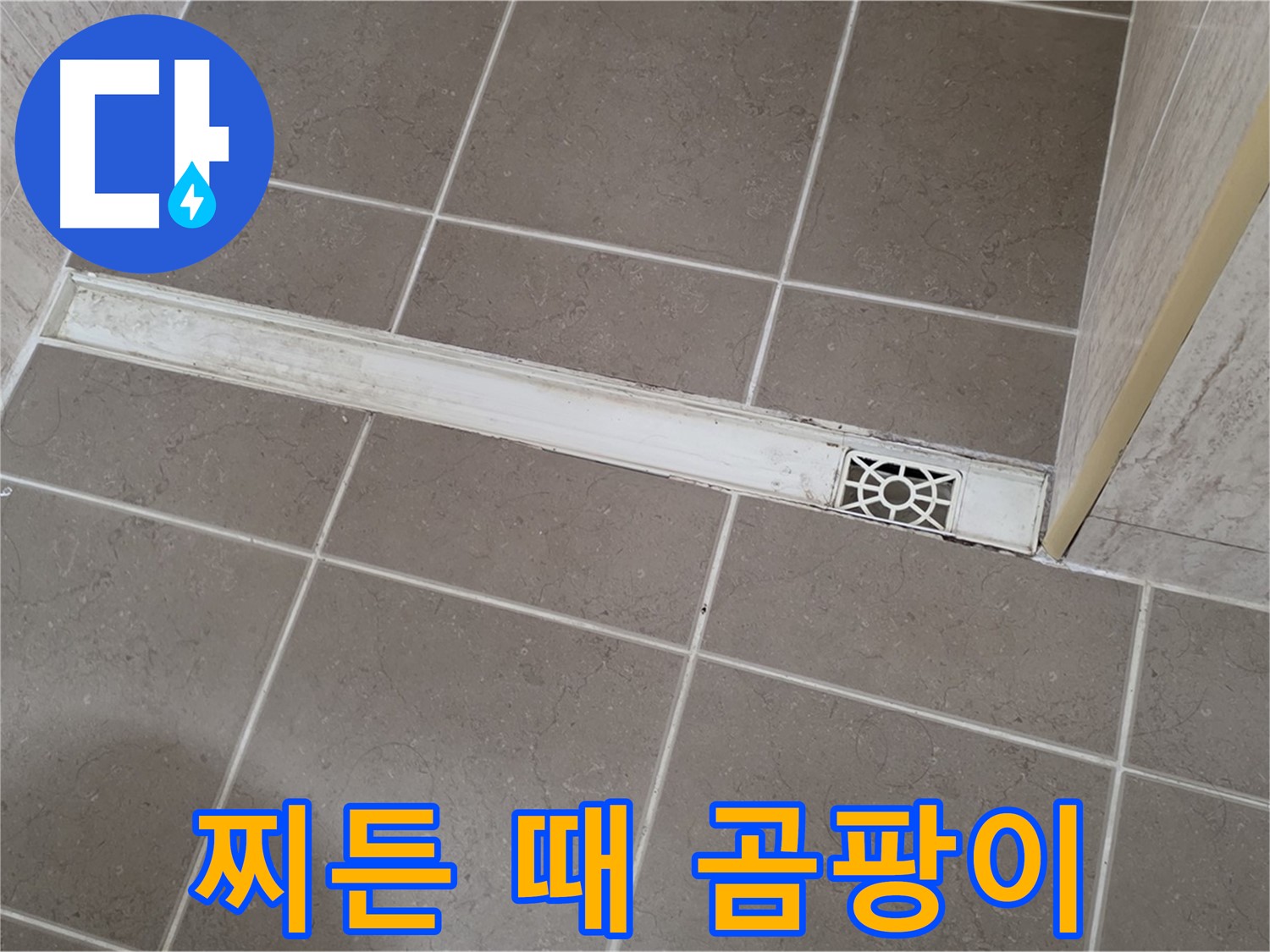 포천 일동면 기산리 욕실 - 트렌치 덮개 주변 찌든 때와 곰팡이 심각