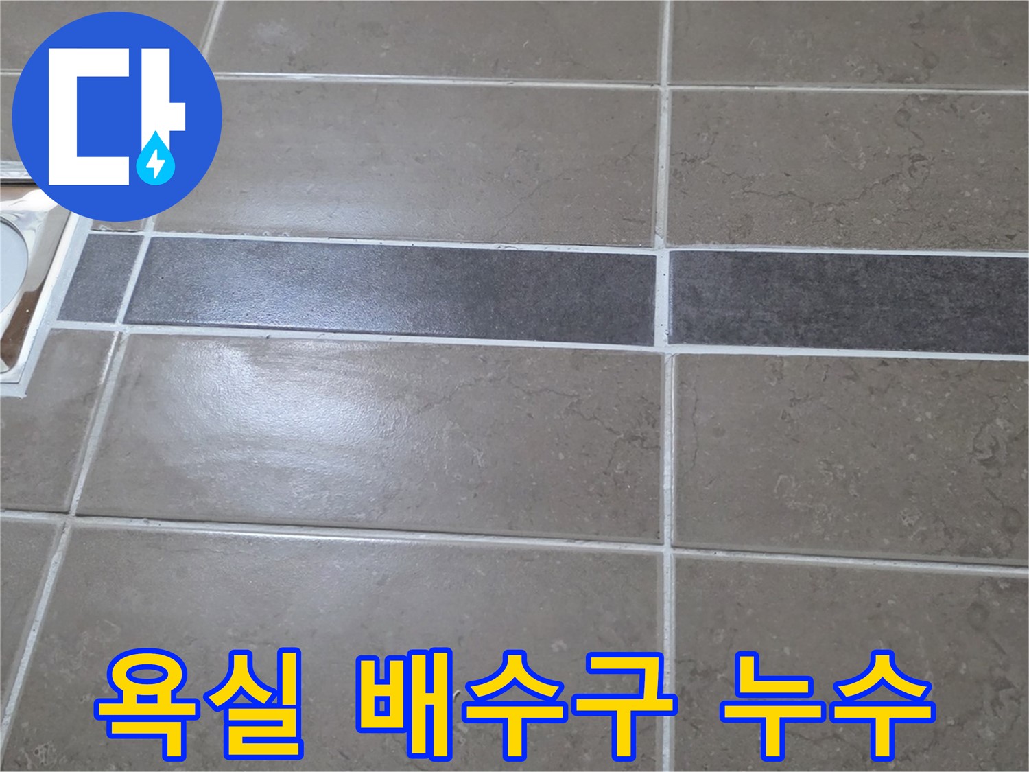 포천 일동면 욕실 배수구 주변 누수 - 전문 누수탐지 기술로 해결
