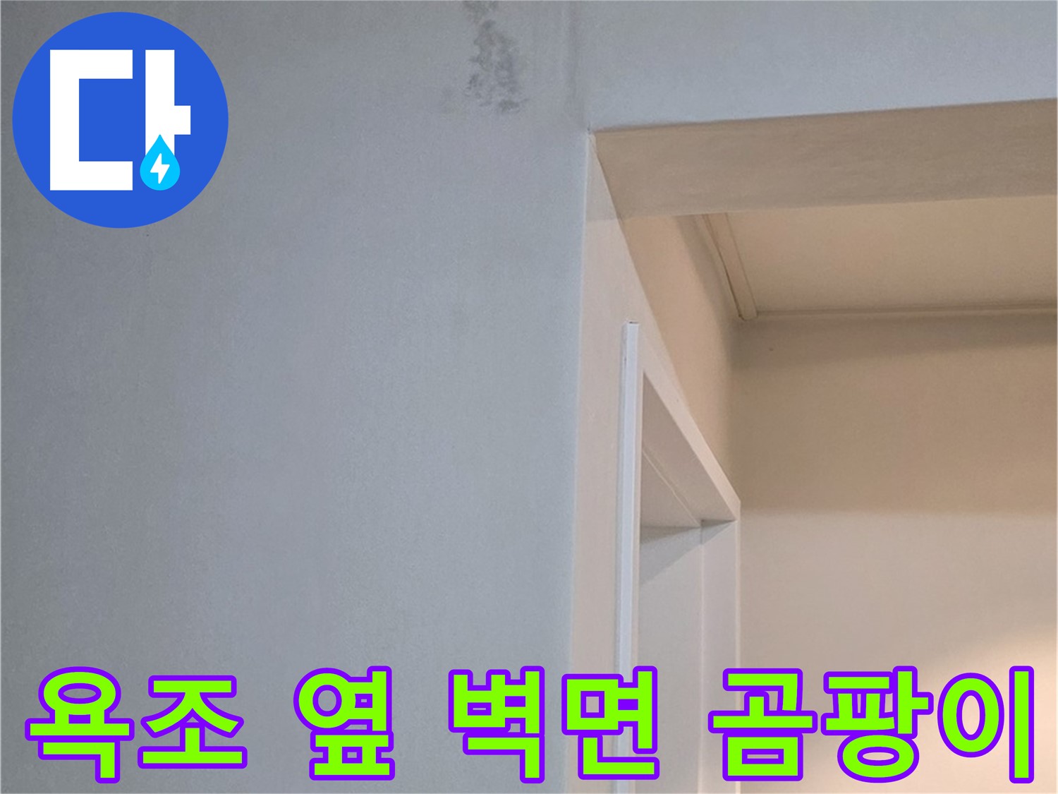 포천시 일동 기산리 아파트 욕조 옆 벽면 곰팡이 - 건강 위협 및 빠른 제거 필요