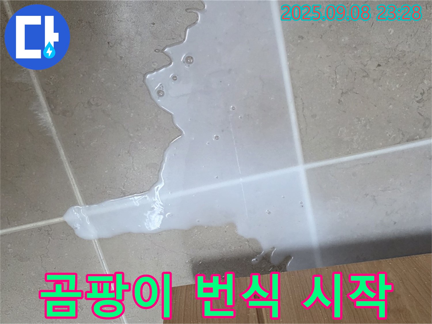 포천시 일동면 기산리 - 싱크대 주변 물, 곰팡이 번식 시작?!