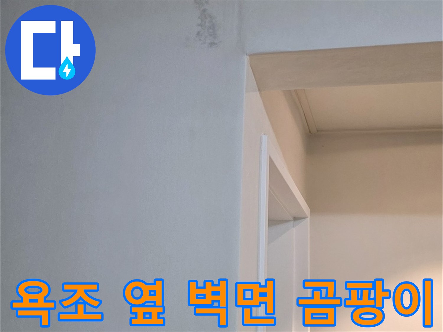 포천시 일동면 기산베스트빌 아파트 욕조 옆 벽면 곰팡이 - 곰팡이 제거 시공