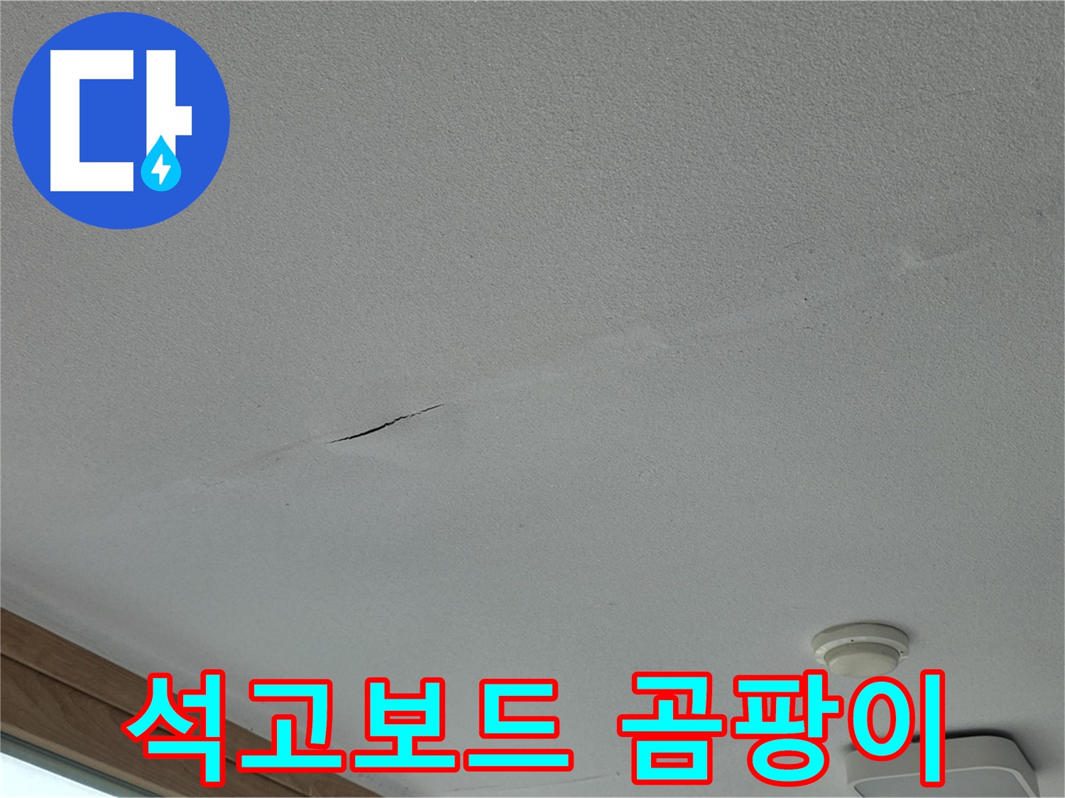 포천시 일동면 아파트 천장 - 곰팡이 핀 석고보드