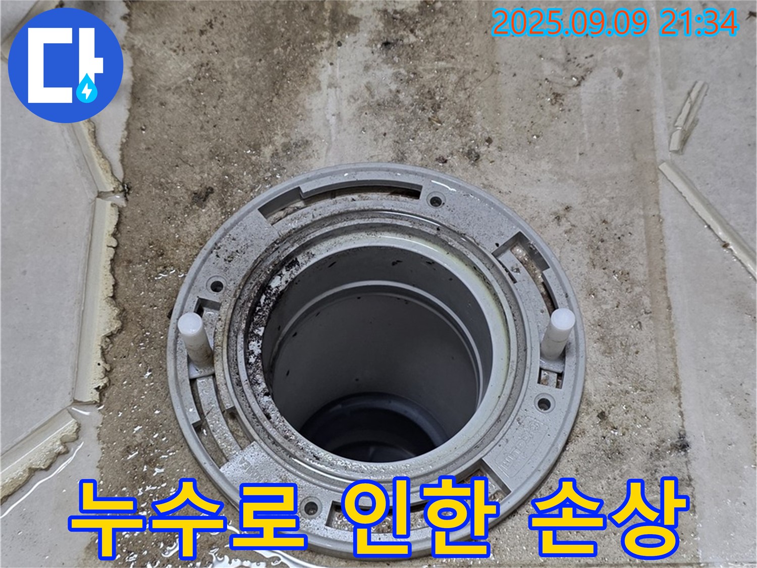 누수 손상 - 곰팡이와 물 자국으로 얼룩진 벽면