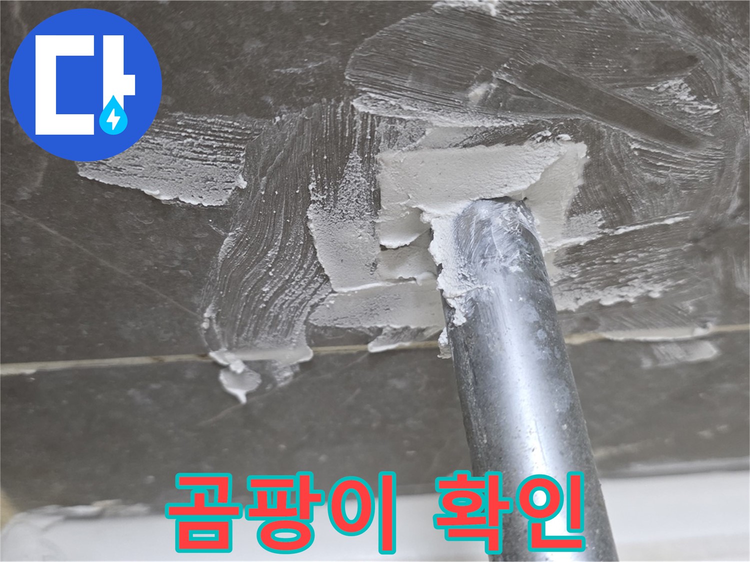 백시멘트 제거 후 곰팡이 발견 - 철저한 제거