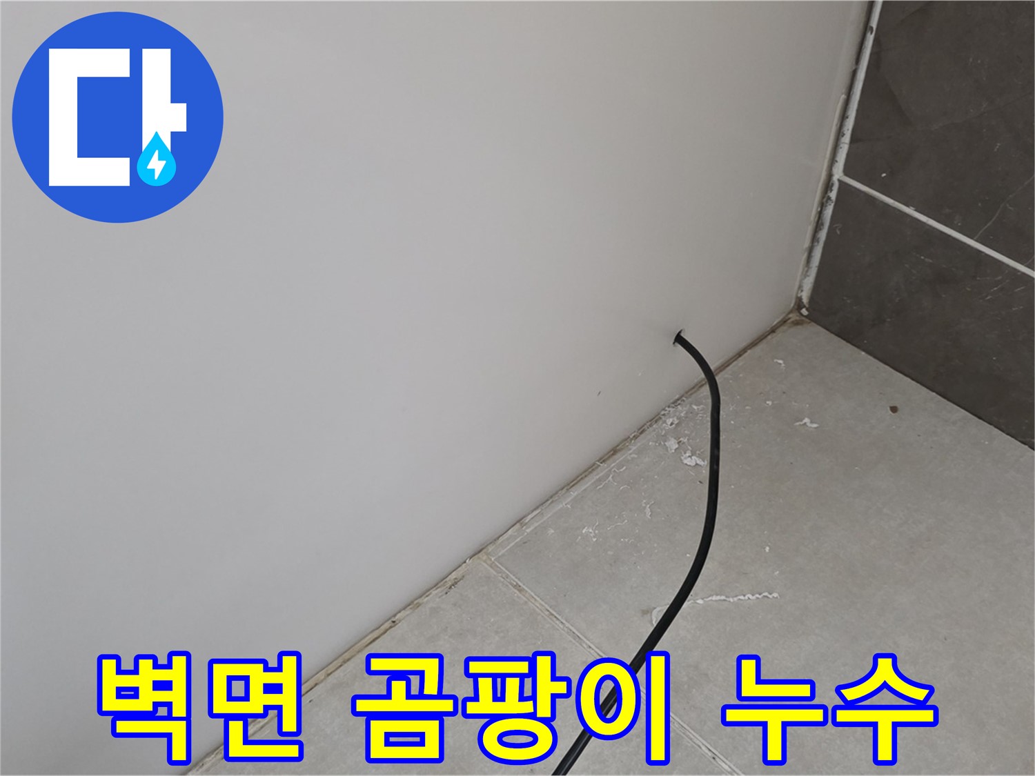 벽면 곰팡이 - 누수로 인한 곰팡이 발생, 건강을 위협합니다.