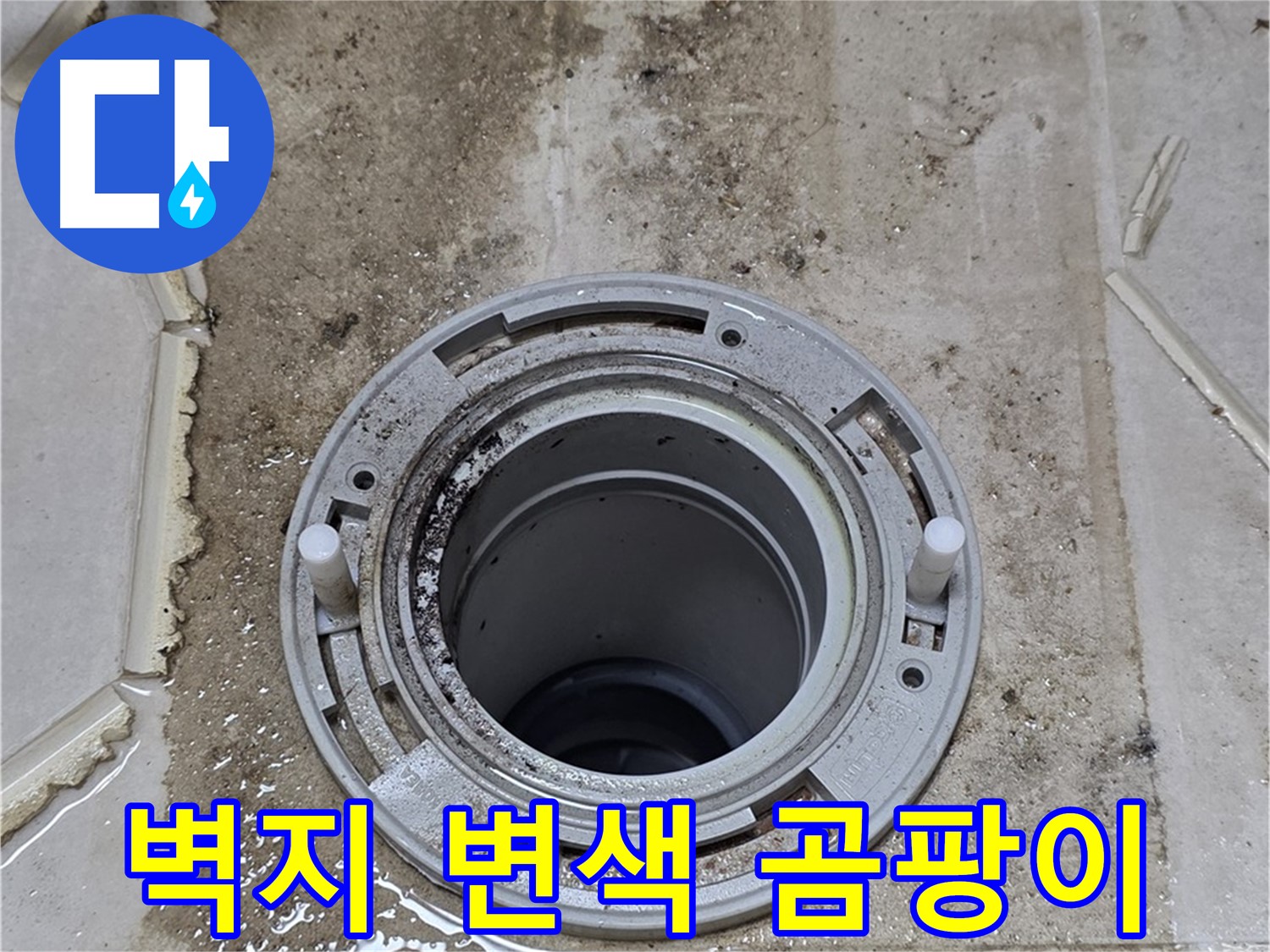 변기 뒤 벽면 벽지 - 변색과 곰팡이가 심각하게 발생했습니다.