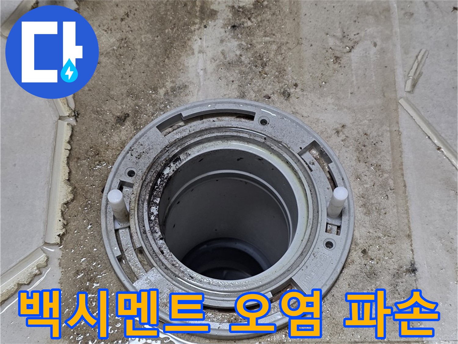 변기 플랜지 주변 백시멘트 - 오염과 함께 파손이 진행 중입니다.