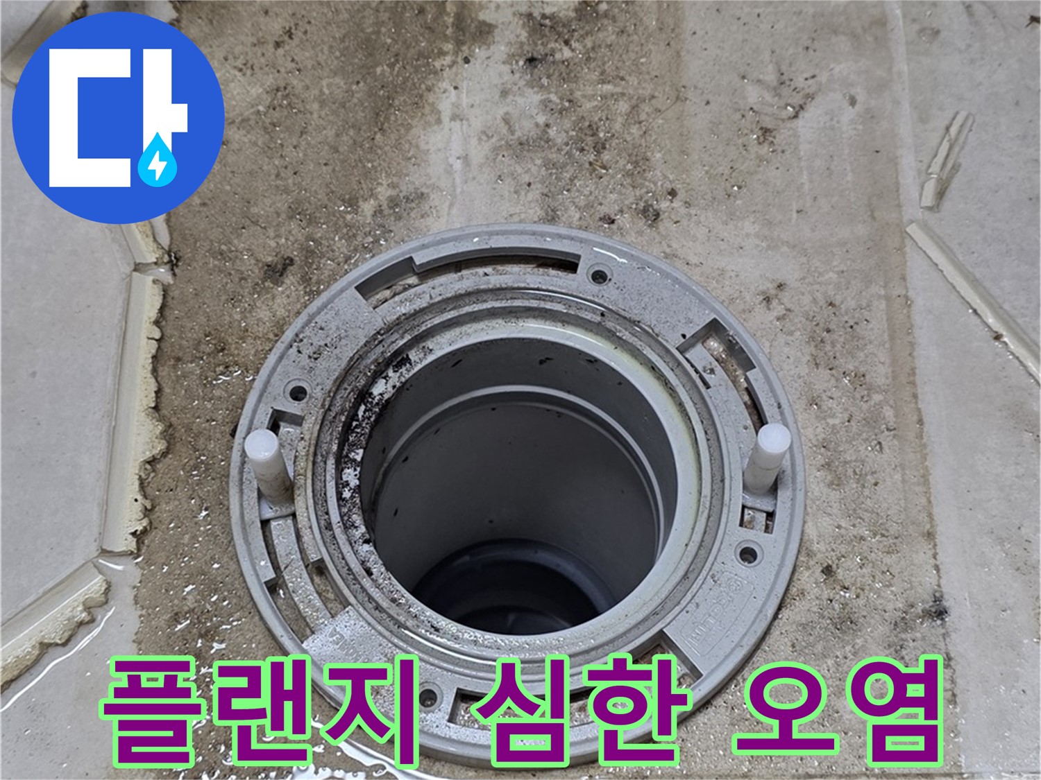 변기 플랜지 주변 심각한 오염 - 누수 장기화로 인한 구조적 손상이 우려됩니다.