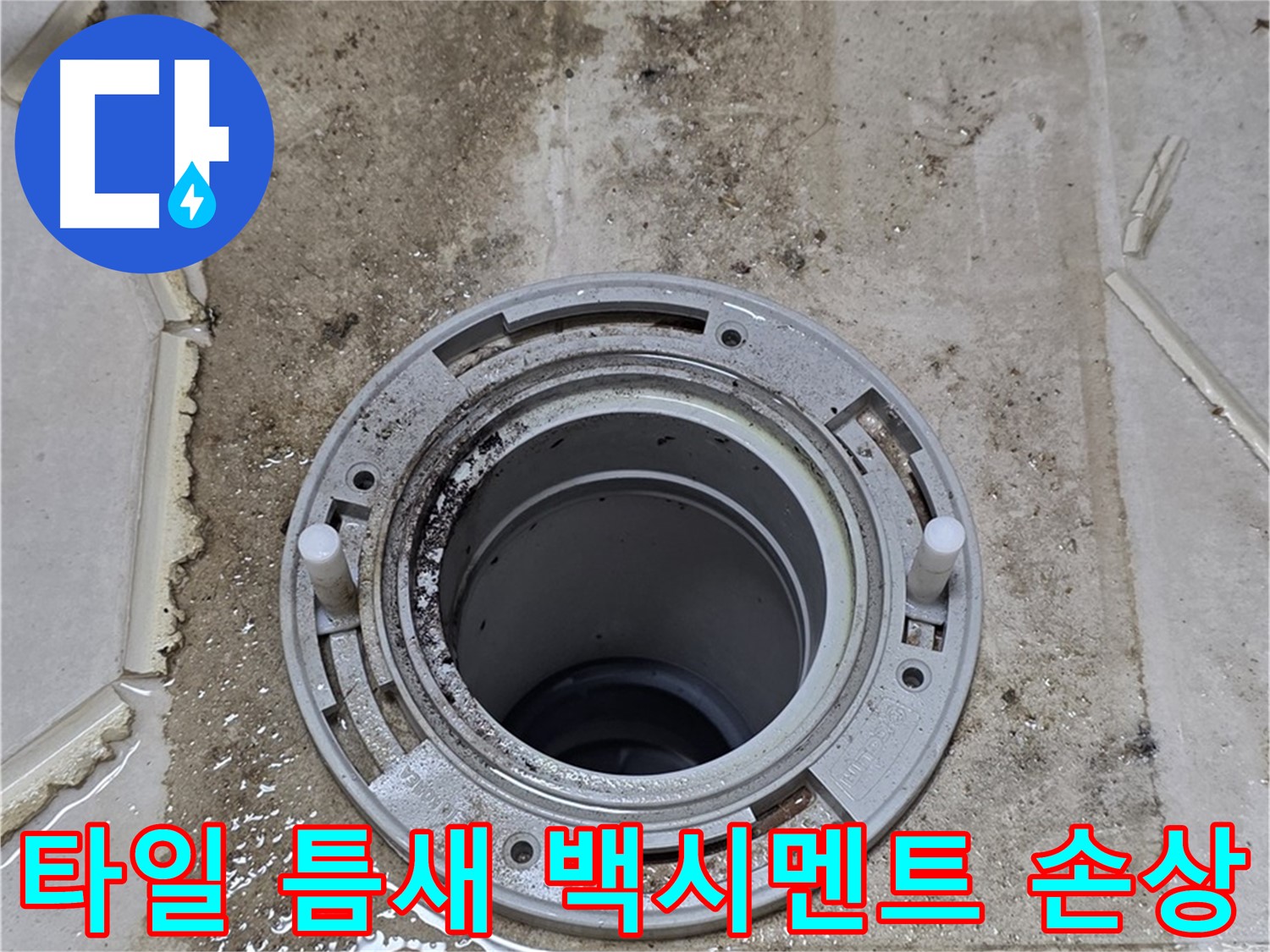 변기 플랜지 주변 타일 틈새 - 오염과 백시멘트 손상이 심각합니다.
