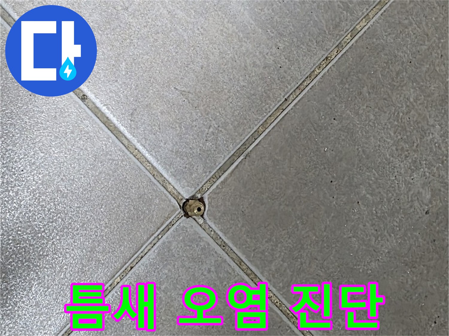 양주 옥정 율정마을 13단지 아파트 타일 틈새 오염 - 초기 누수 진단 과정입니다.