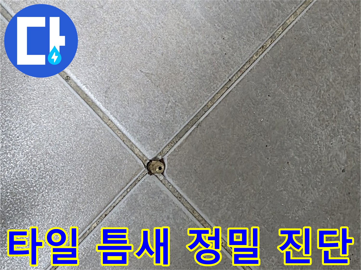 양주 옥정 율정마을 13단지 아파트 타일 틈새 - 오염과 누수에 대한 정밀 진단 중입니다.