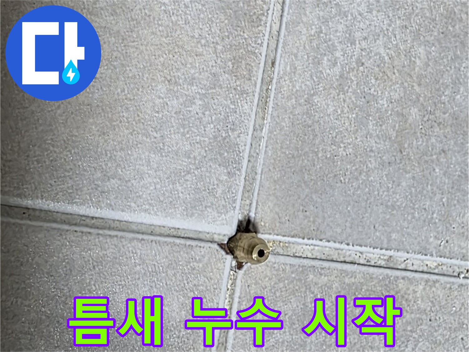 양주 옥정 율정마을 아파트 누수 - 누수, 설마 타일 틈새 작은 구멍에서 시작될 수 있다?!
