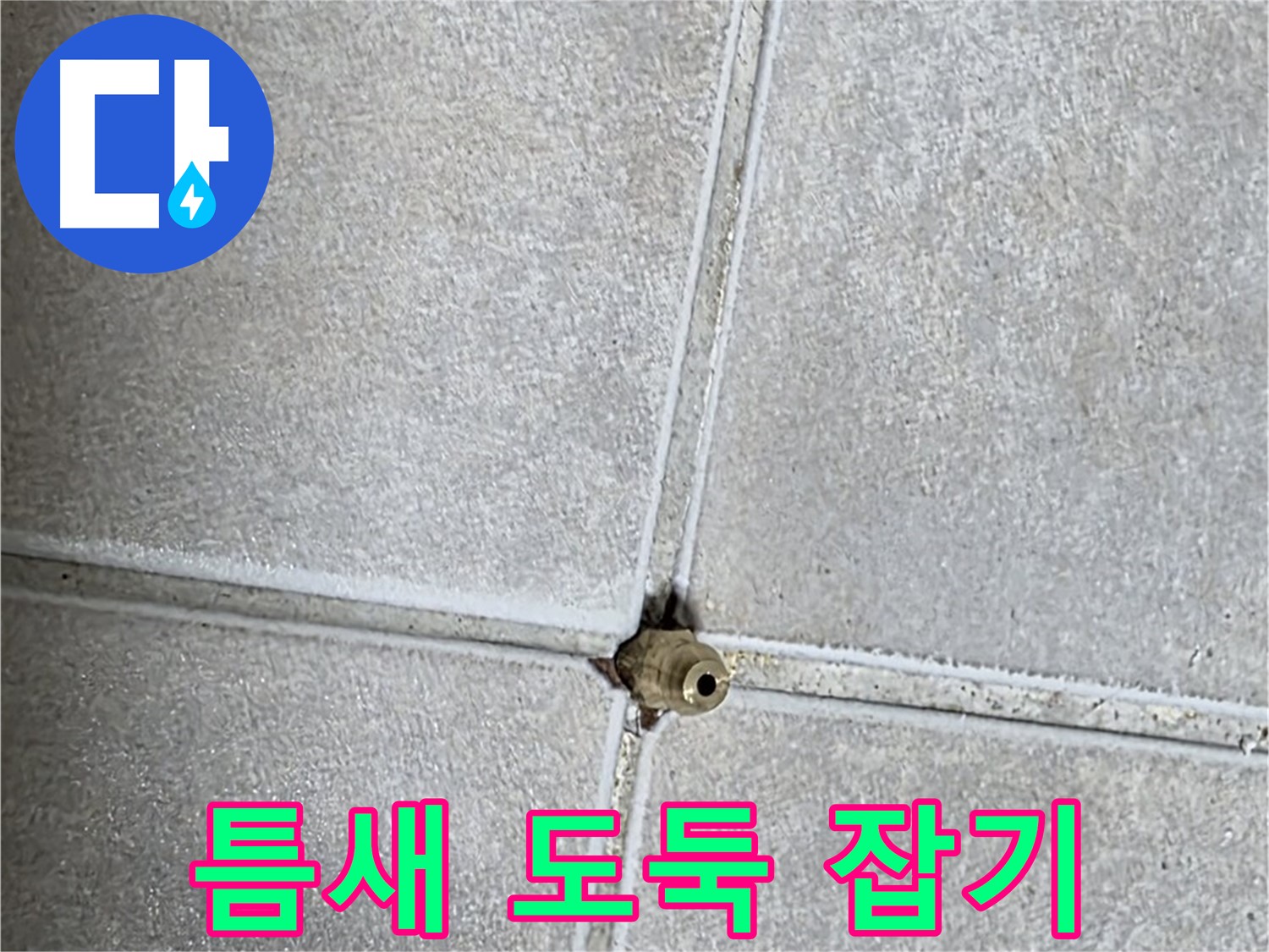 양주 옥정 율정마을 아파트 누수 - 누수, 타일 틈새에 숨어있는 시간 도둑을 잡아 소중한 시간을 되찾으세요!