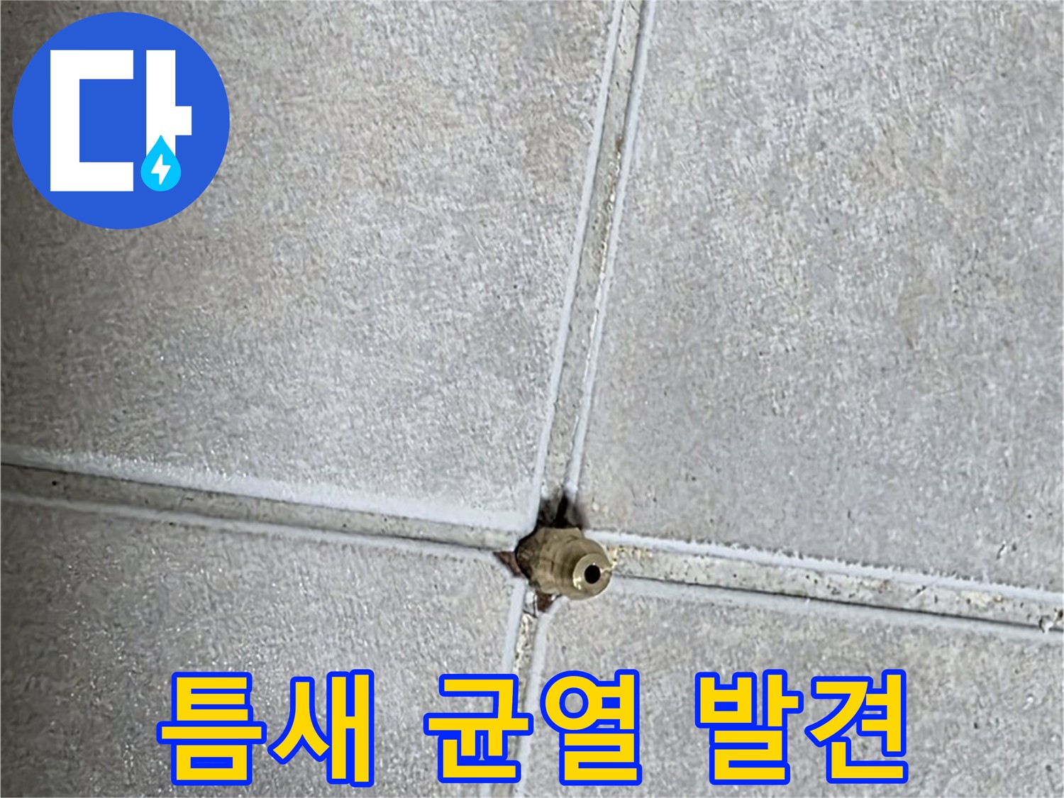 양주 옥정 율정마을 아파트 누수 - 타일 틈새에 숨은 미세한 균열을 발견하고 누수 원인을 파악합니다.