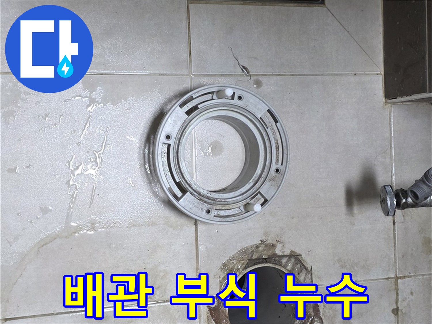 양주 옥정 율정마을 아파트 변기 누수 - 오래된 배관 부식으로 인한 누수 현장