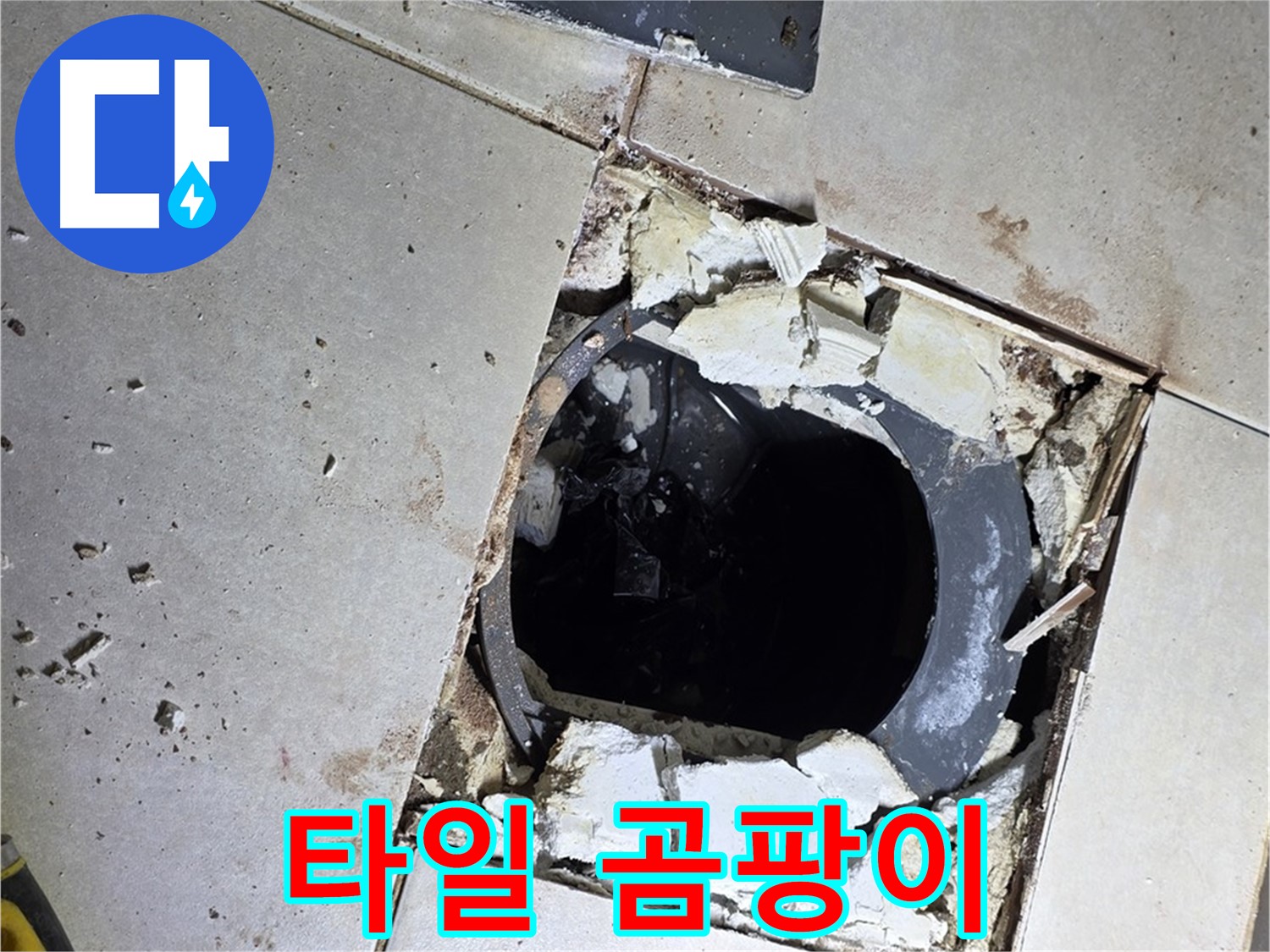 양주 옥정동 욕실 누수 - 율정마을13단지 배수구 주변 깨진 타일 파편과 곰팡이의 습격