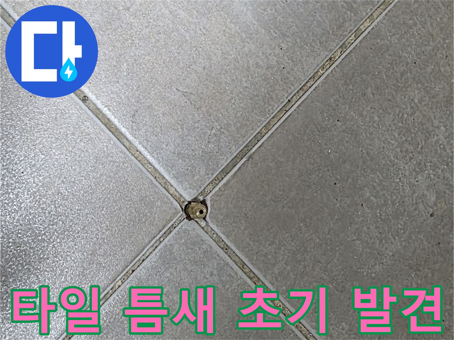 양주 옥정동 율정마을 13단지 아파트 타일 틈새 오염 - 초기 발견 사진입니다.