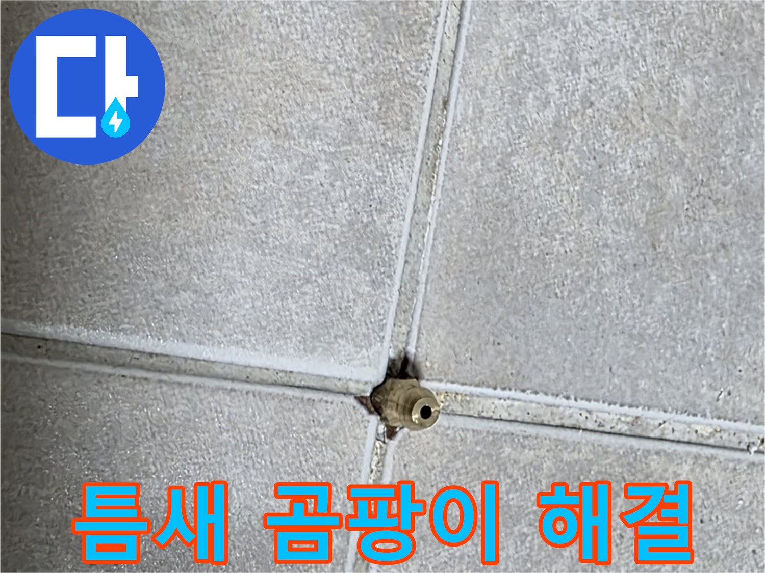 양주 옥정동 율정마을 아파트 누수 - 타일 틈새 누수, 완벽하게 차단하고 곰팡이 걱정 없이 쾌적한 욕실을 만들어 드립니다!