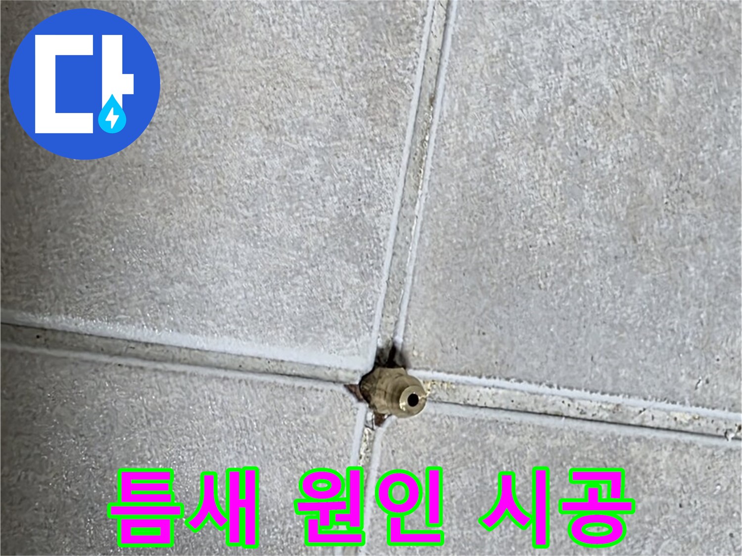 양주 옥정동 율정마을 아파트 누수 - 타일 틈새 누수, 원인부터 해결까지 책임 시공으로 완벽하게 해결해 드립니다!