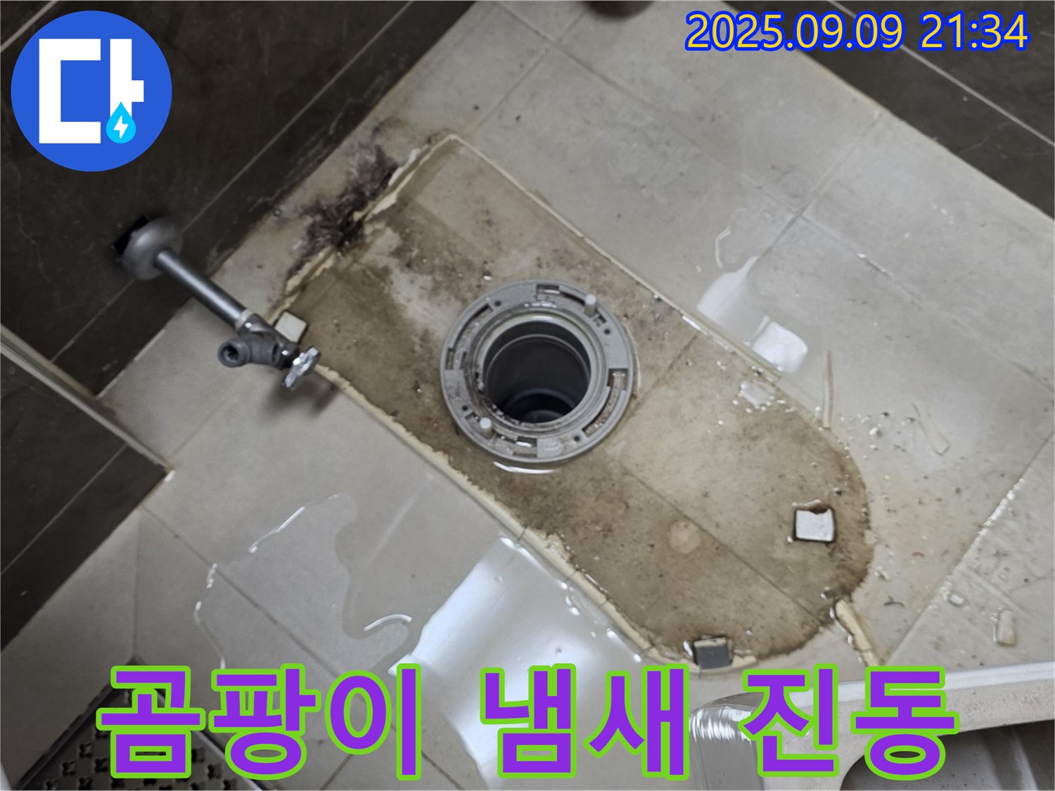 양주 옥정동 율정마을 아파트 - 변기 철거 후 곰팡이 냄새 진동!