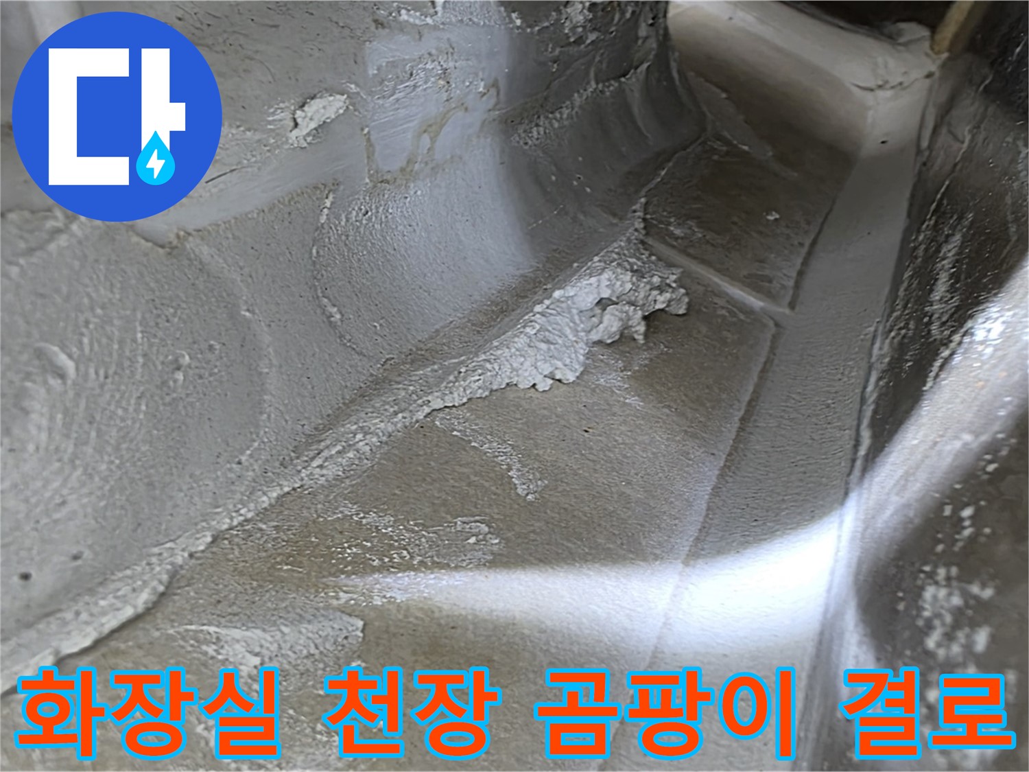 양주 옥정동 율정마을 화장실 천장 곰팡이 누수 - 결로 현상 해결로 곰팡이와 누수를 동시에 잡습니다.