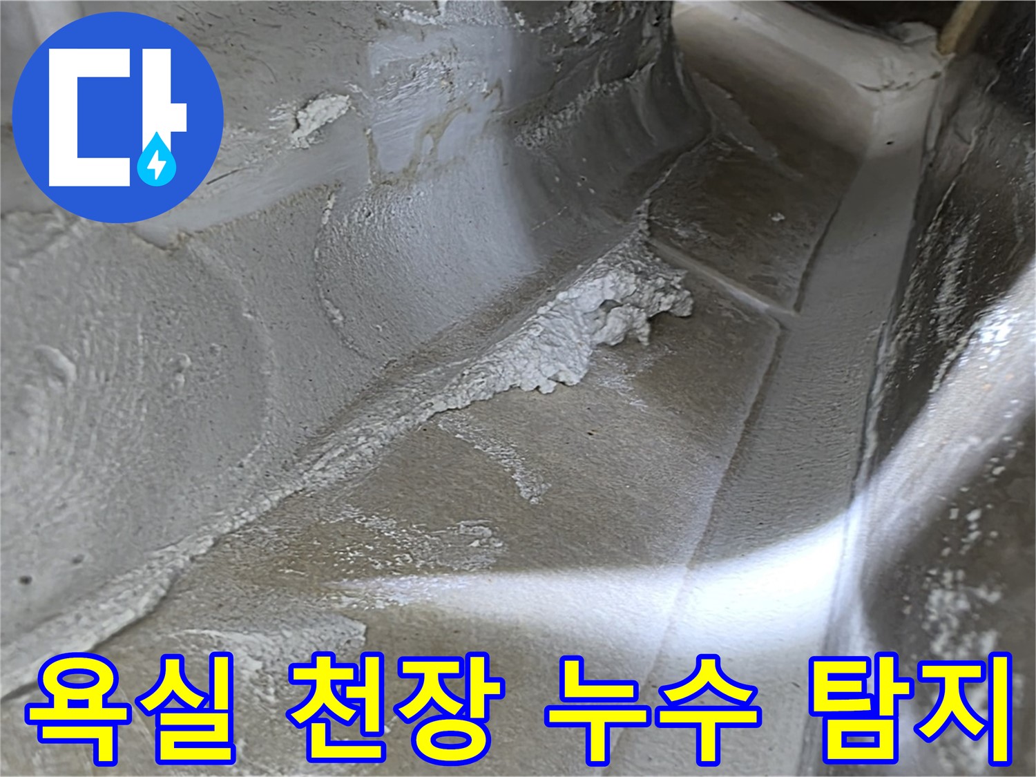 양주시 옥정동 율정마을 아파트에서 발생한 욕실 천장 누수 - 누수탐지 전문 엔지니어가 정확한 원인을 파악하고 신속하게 해결합니다.