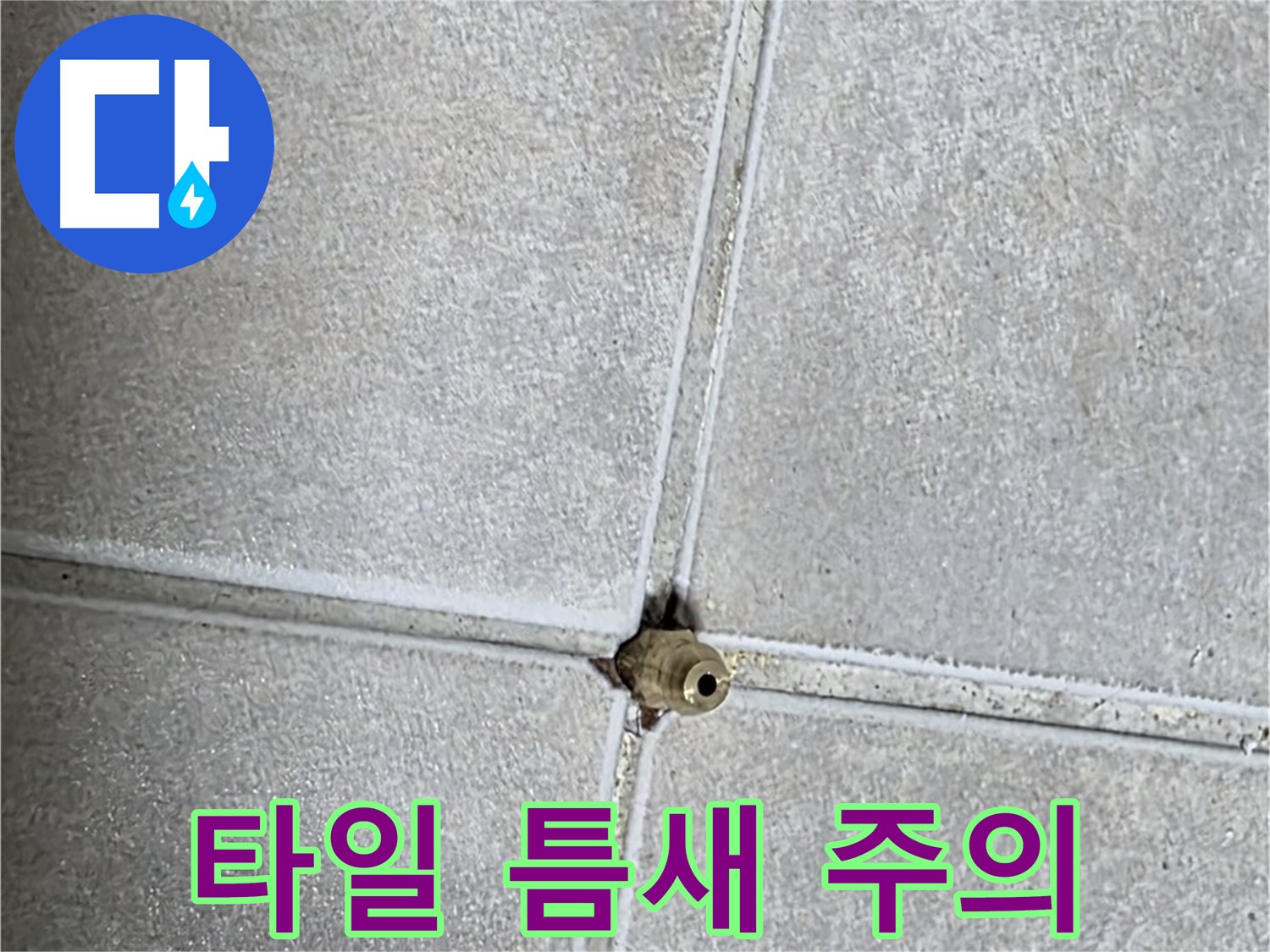 옥정 율정마을 아파트 누수 - 작은 타일 틈새도 놓치지 말고 꼼꼼하게 관리하세요.