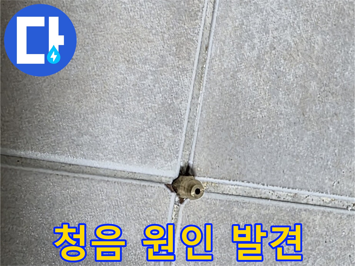 옥정 율정마을 아파트 누수 - 청음 탐지로 숨겨진 누수 원인까지 꼼꼼하게 찾아냅니다.