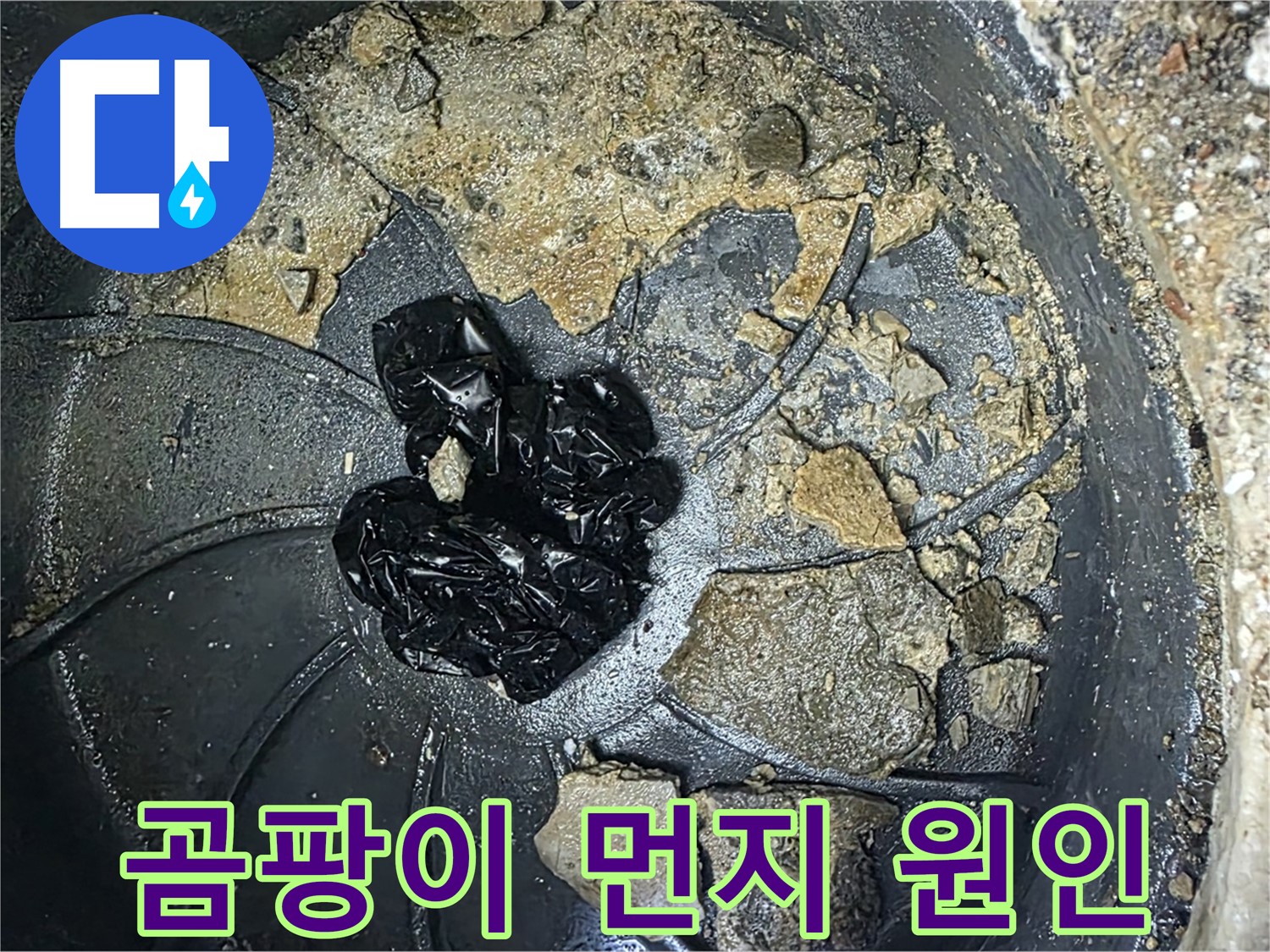 옥정 율정마을 아파트 - 우수관 막힘의 주범, 곰팡이와 먼지 덩어리를 확인하세요!