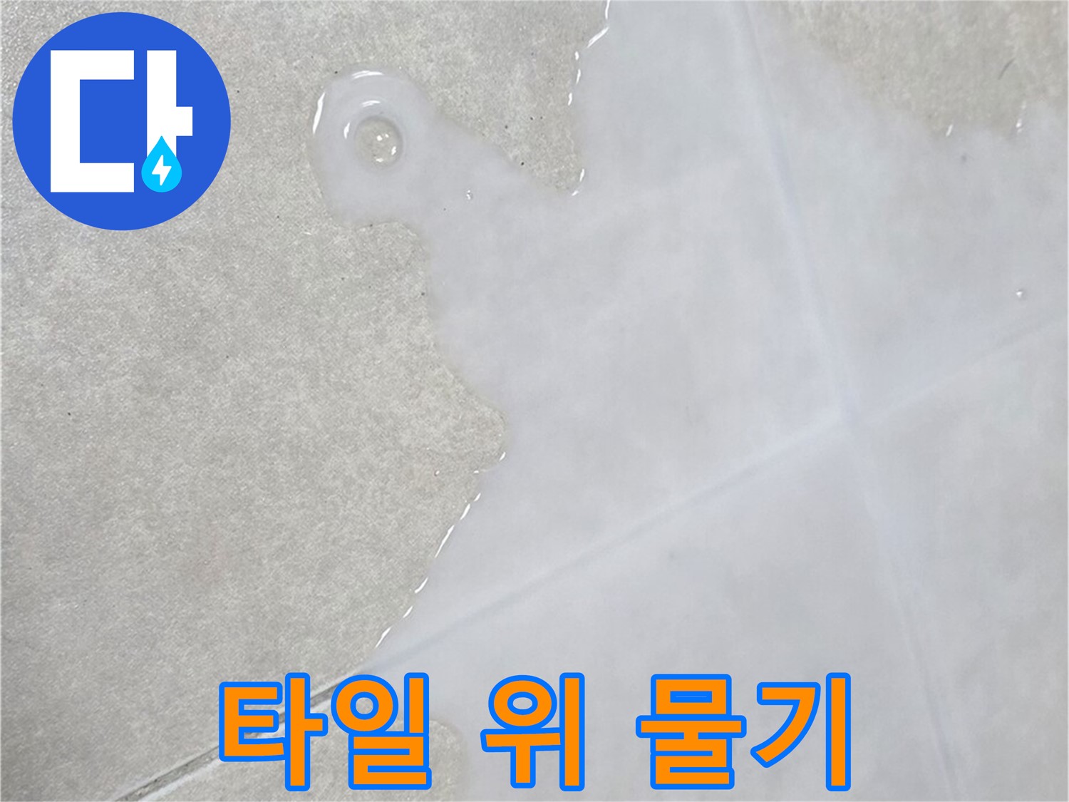 옥정 율정마을 아파트 타일 위 물기 - 누수 초기 점검으로 문제 해결