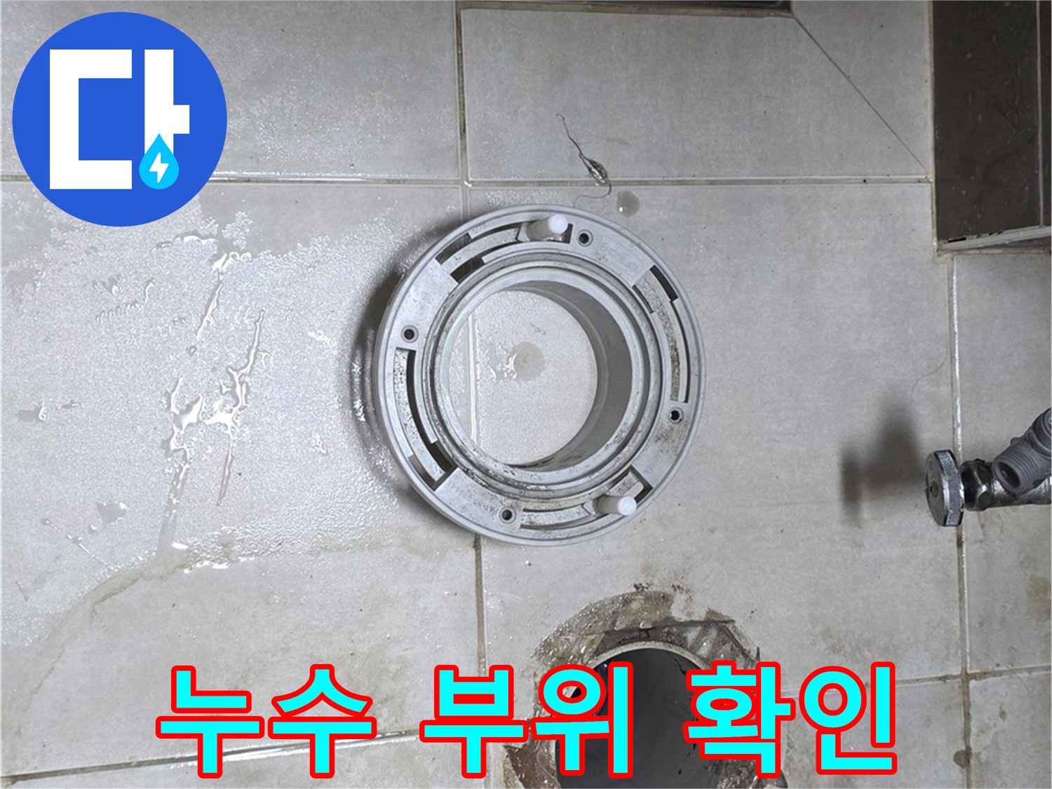 옥정동 율정마을 아파트 변기 하수구 누수 - 누수 부위 꼼꼼하게 확인 중