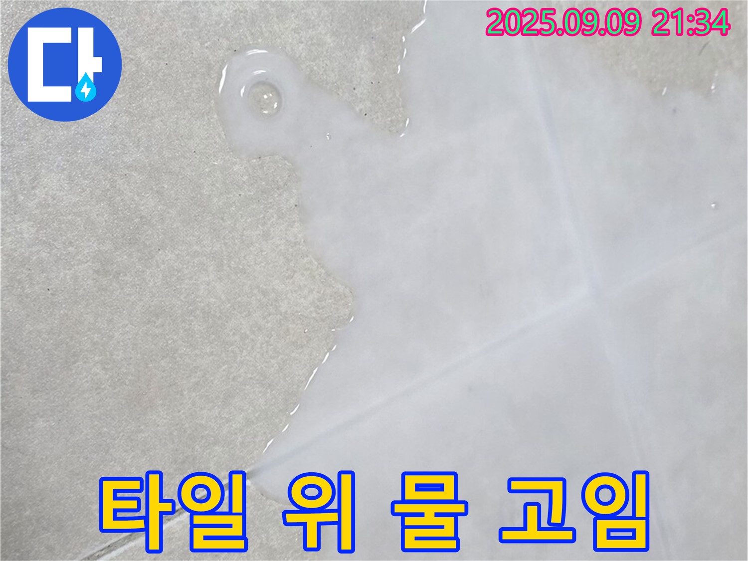 옥정동 율정마을 아파트 타일 위 물 고임 - 꼼꼼 점검, 완벽 시공