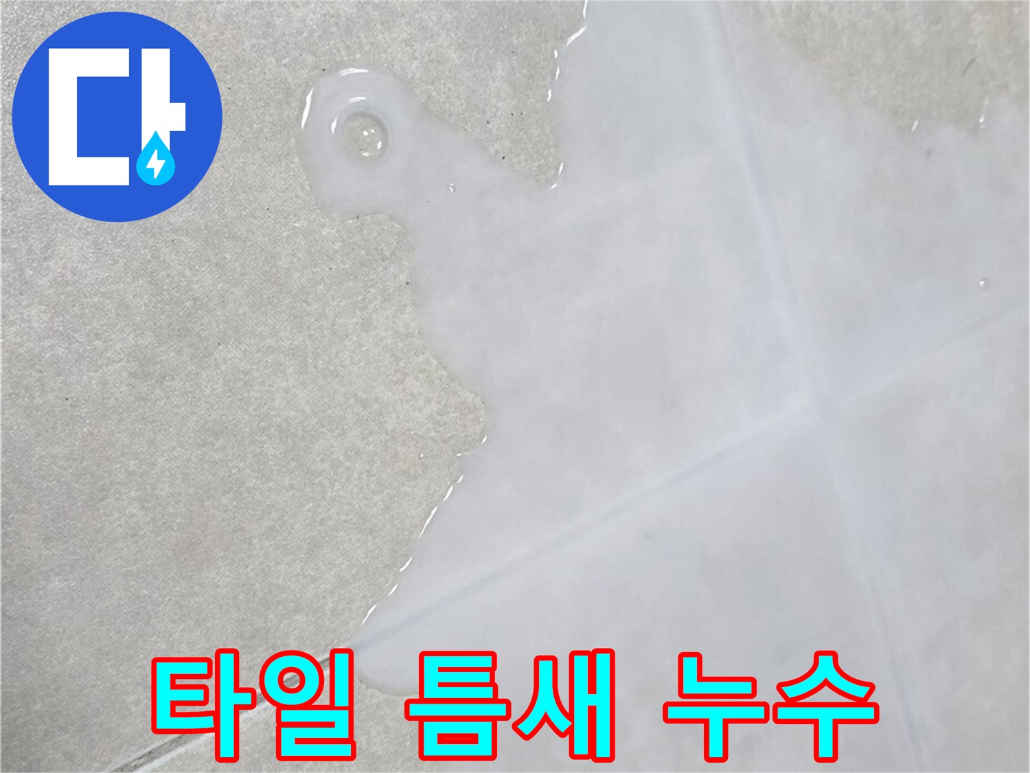 옥정신도시 율정마을 아파트 타일 틈새 누수 - 정확한 탐지로 누수 원인 해결