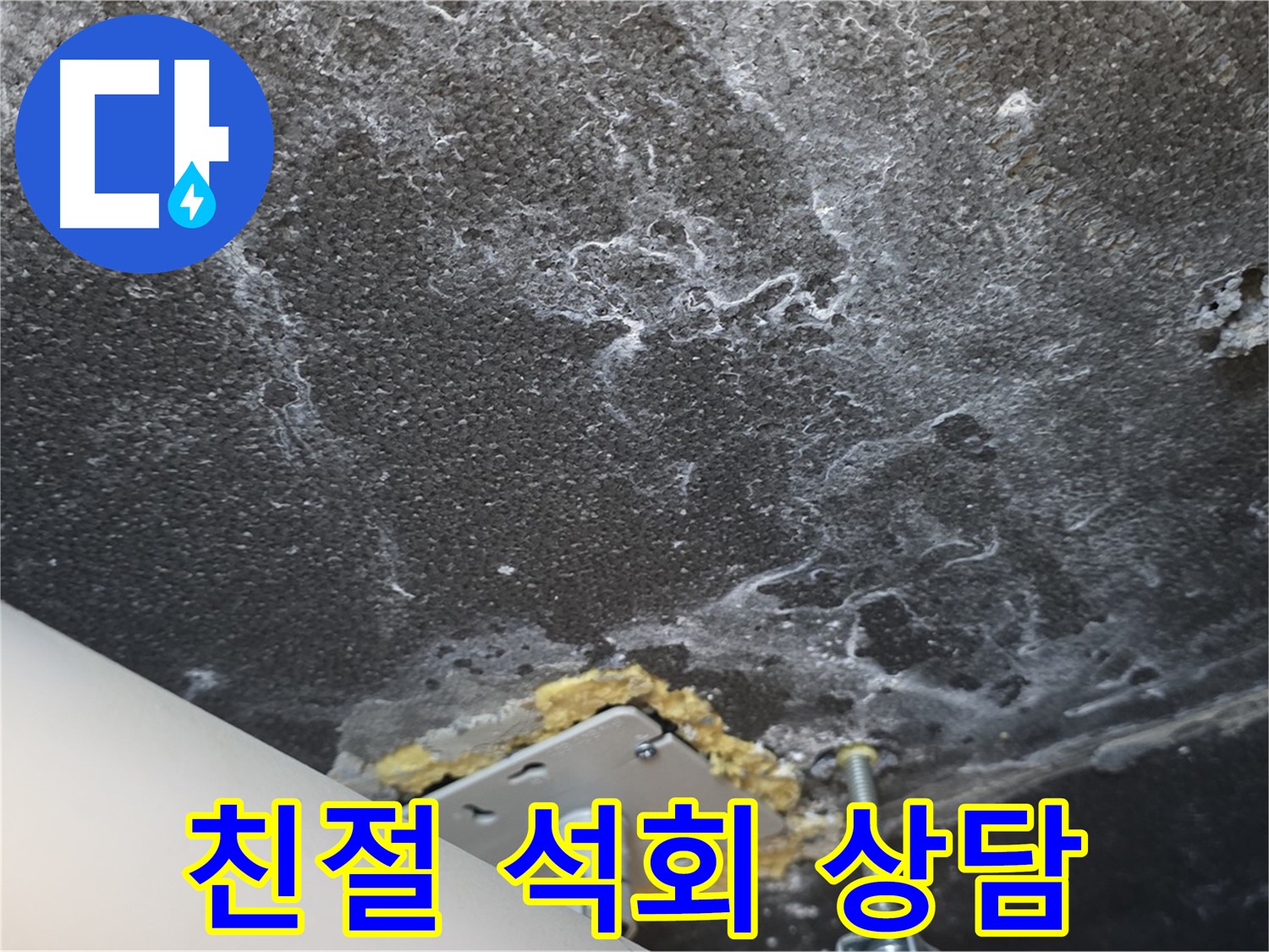 동패동 아파트 누수 - 천장 누수 석회 관련 친절하고 자세한 상담