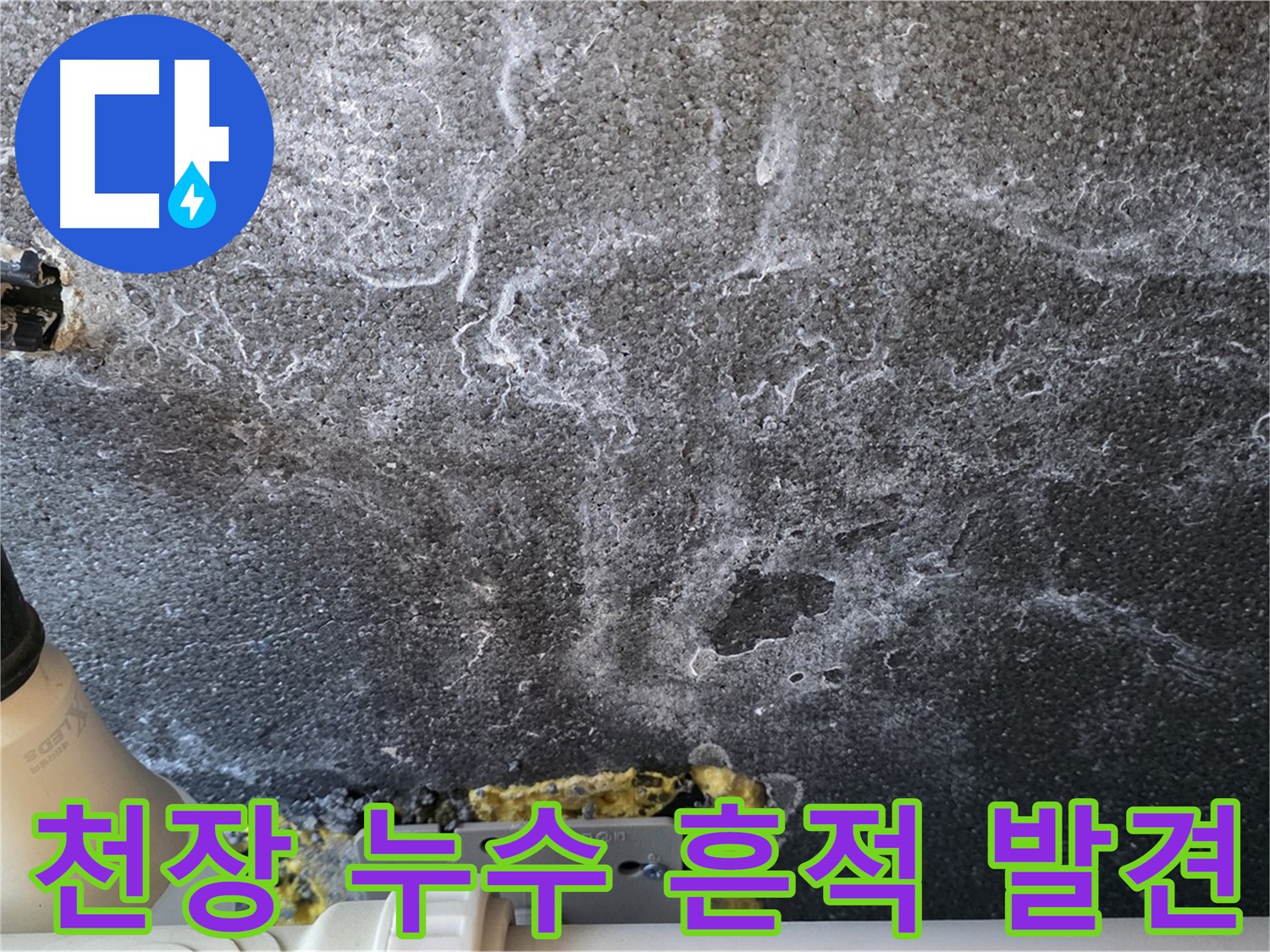 운정 어반프라임 천장 누수 흔적 - 누수 초기 발견의 중요성과 전문가의 진단 필요성
