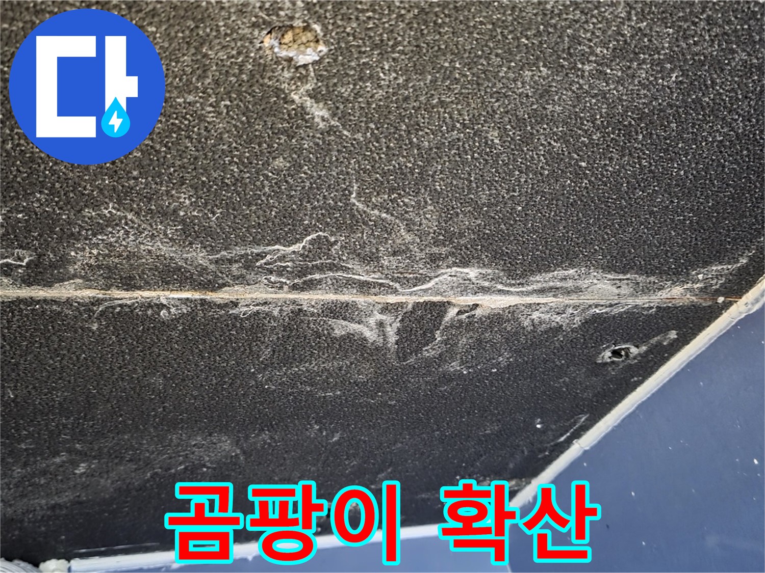 운정어반프라임 곰팡이 - 석고보드 곰팡이 확산 상태