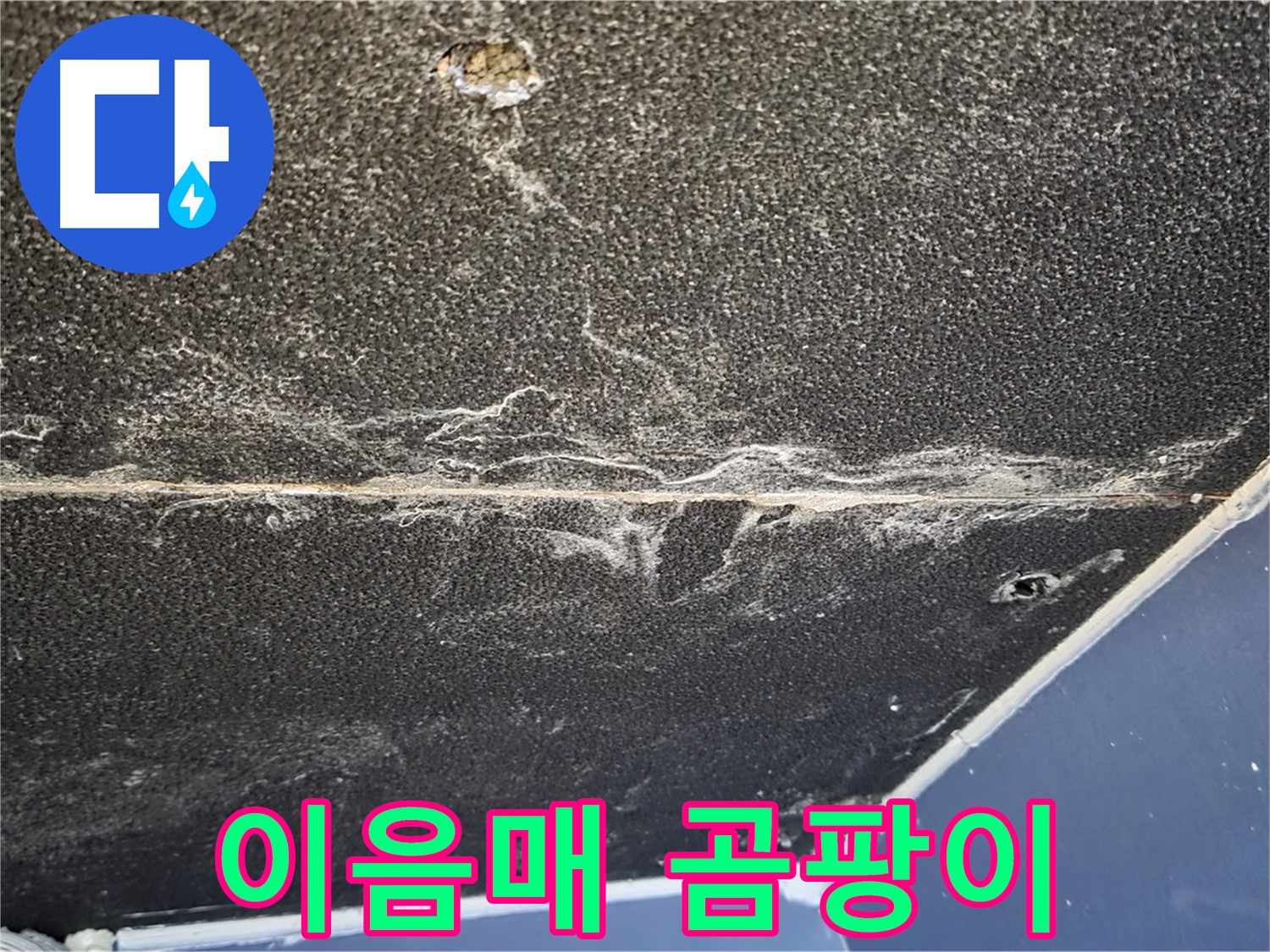 운정어반프라임 이음매 곰팡이 - 석고보드 이음매 곰팡이 발생