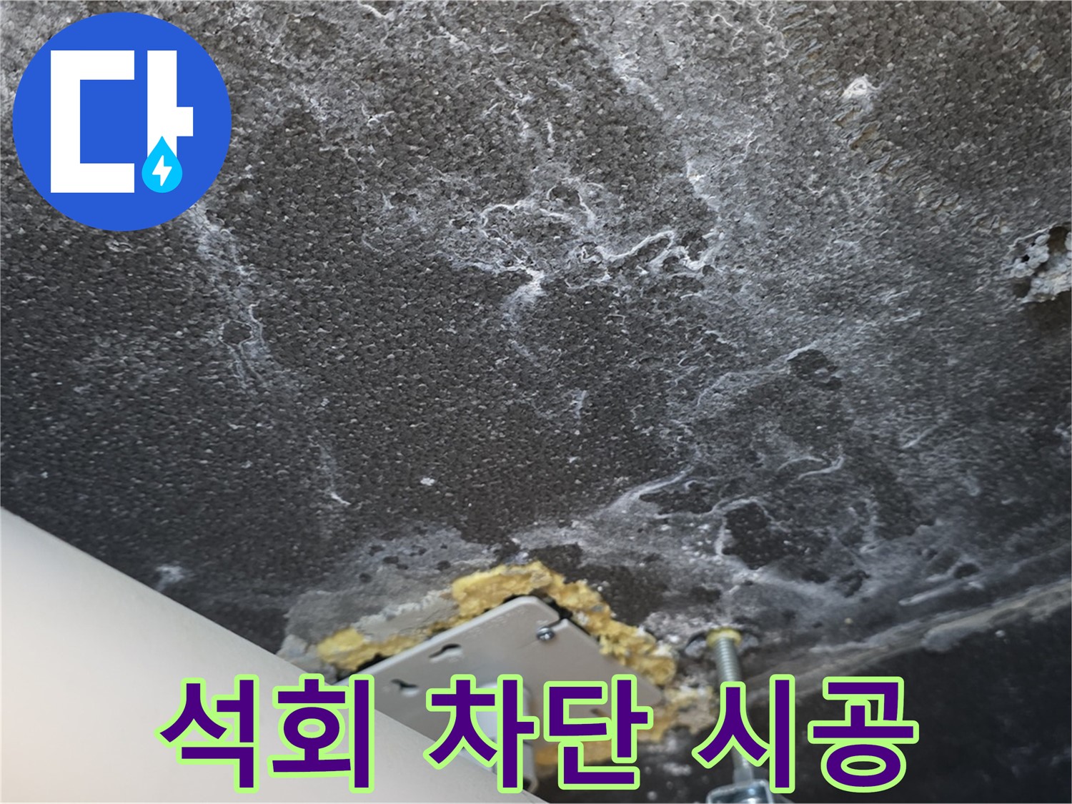 파주 누수 시공 - 천장 석회 재발 완벽 차단 전문 시공 중