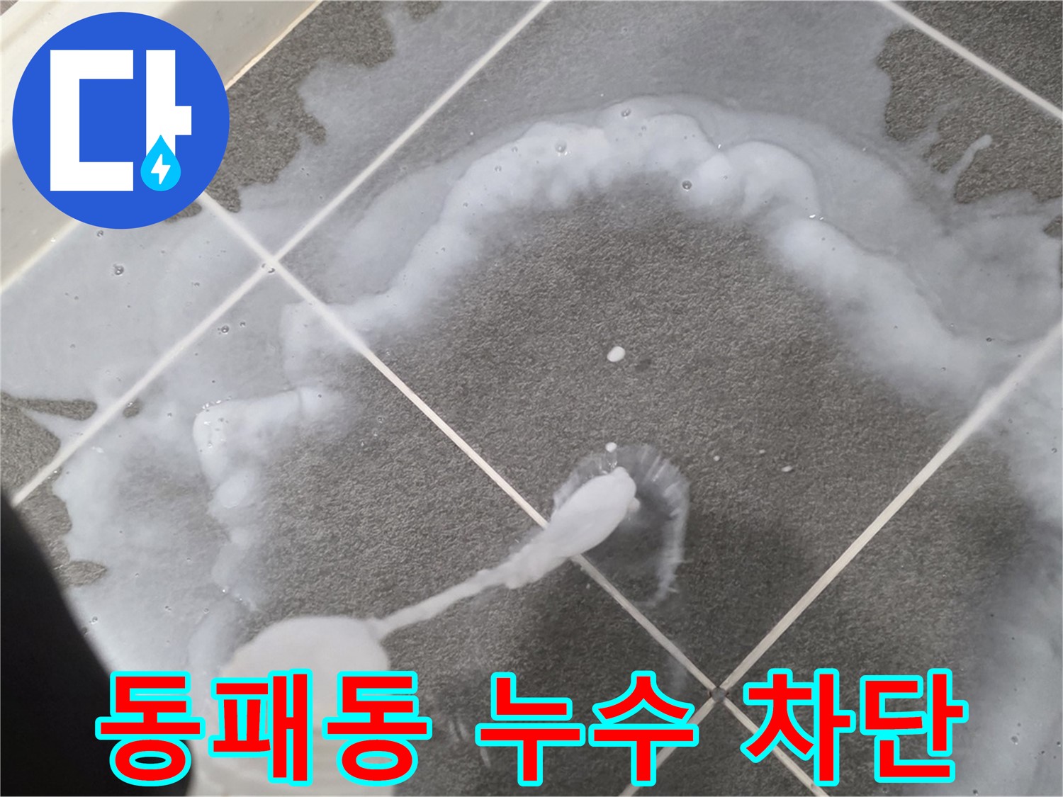파주시 동패동 아파트 욕실 - 타일 틈새 방수로 누수 완벽 차단 시공