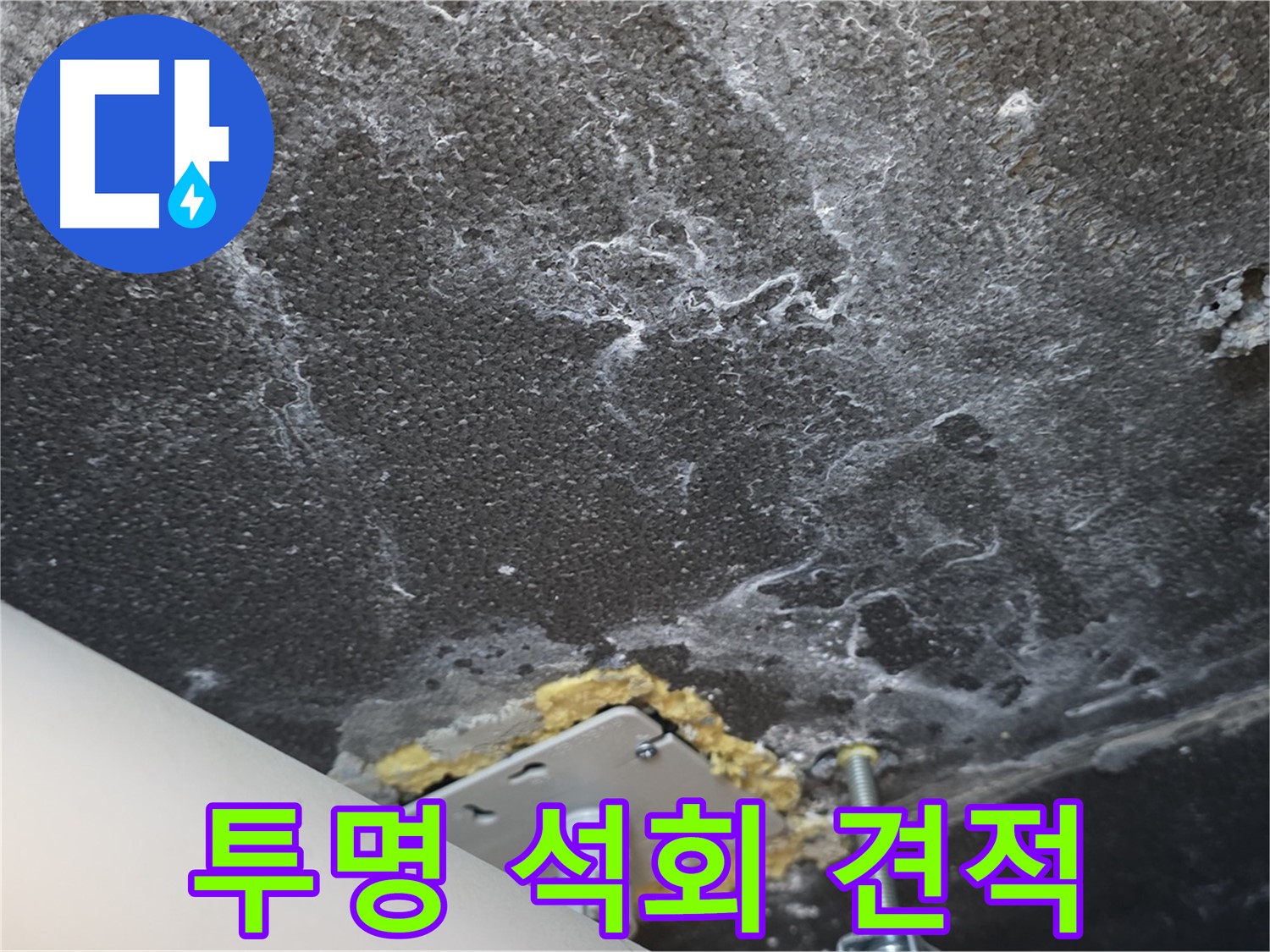 파주시 동패동 누수 - 석회 관련 투명하고 합리적인 견적 제공