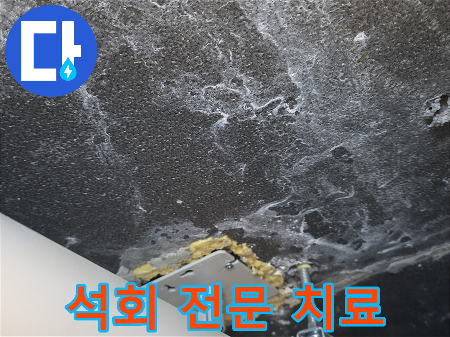파주시 동패동 누수 - 석회 전문 치료 및 재발 방지 전문 시공