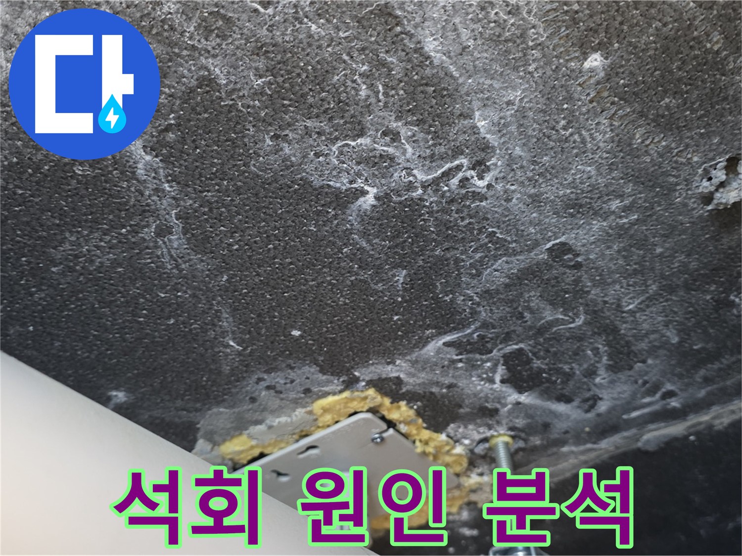 파주시 동패동 아파트 누수 - 천장 석회 누수 원인 정밀 분석